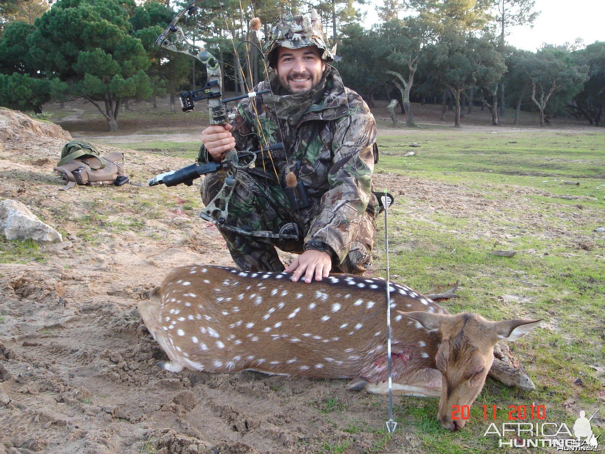 Axis deer bowhunt