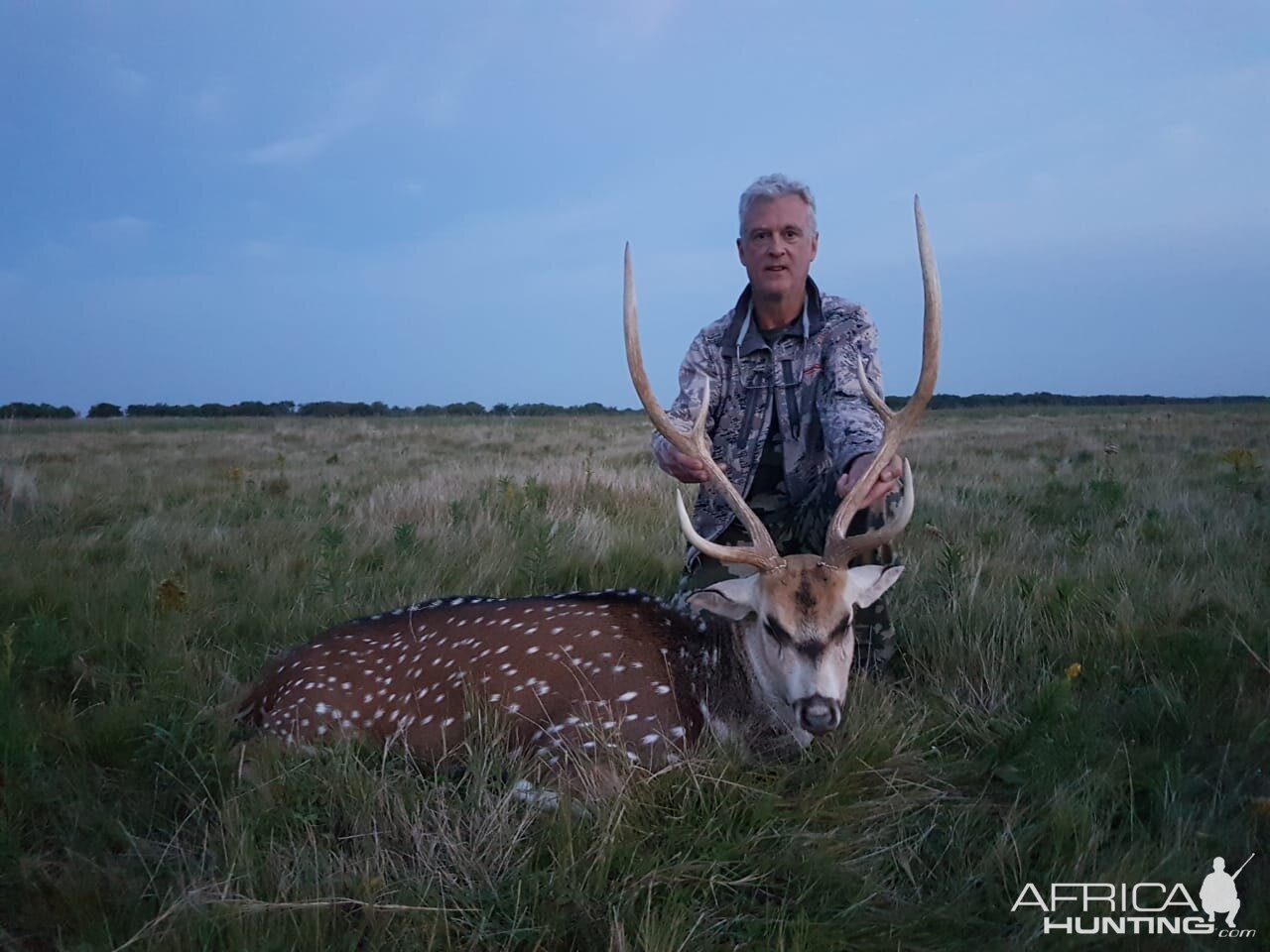 Axis Deer Hunt Argentina