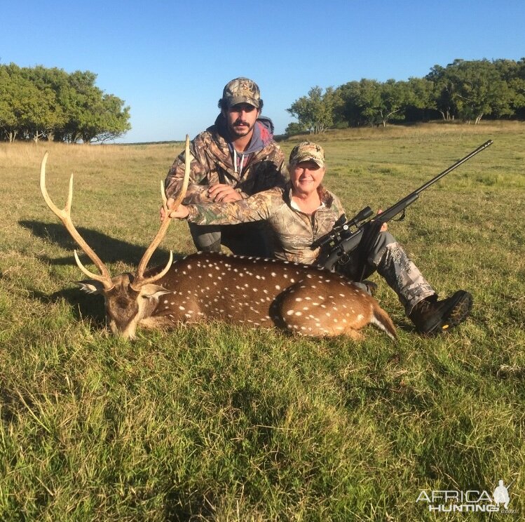 Axis Deer Hunt Argentina