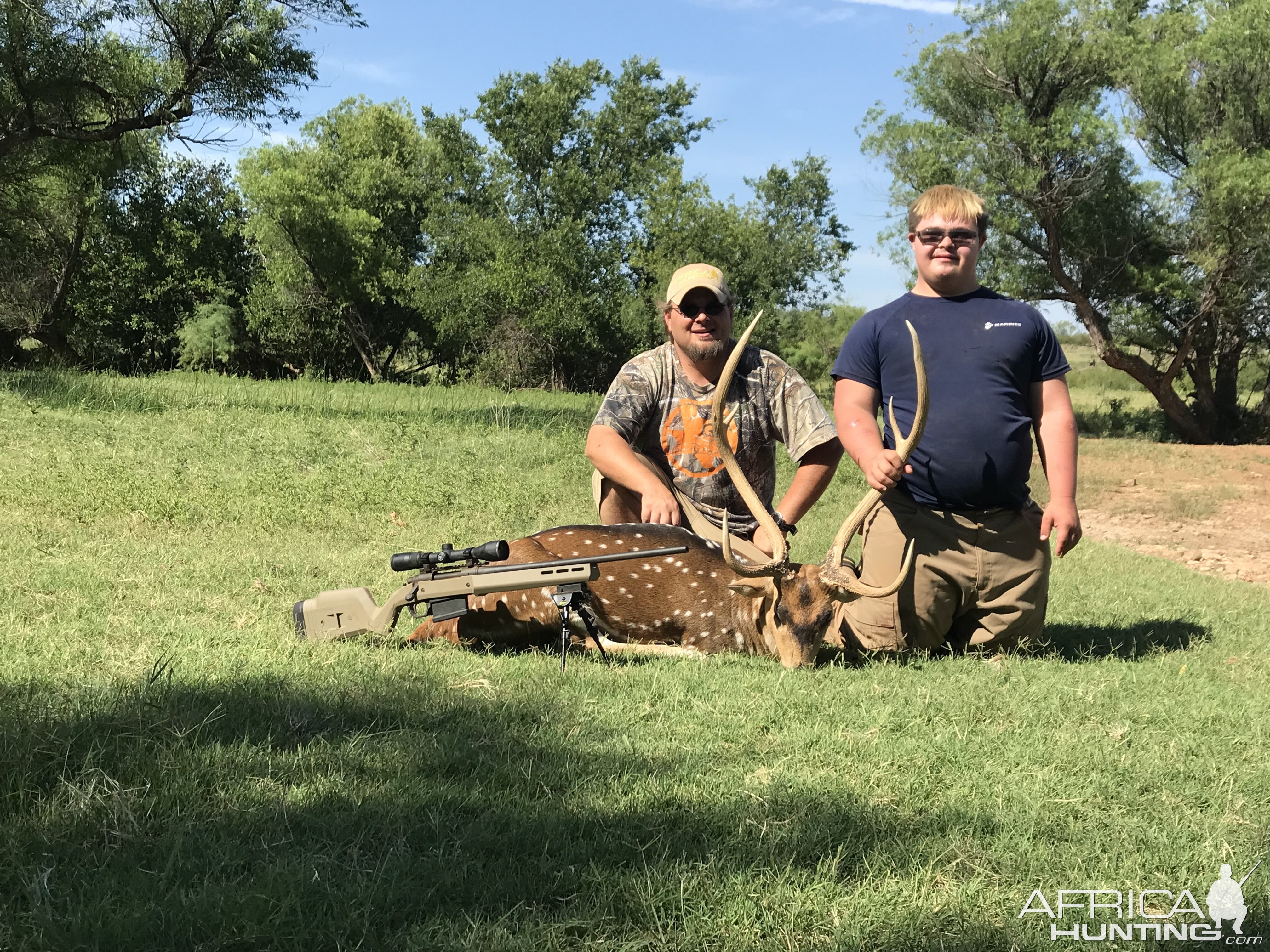 Axis Deer Hunt in Texas