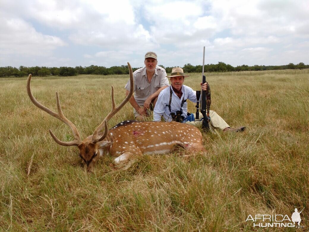 Axis Deer Hunting Argentina