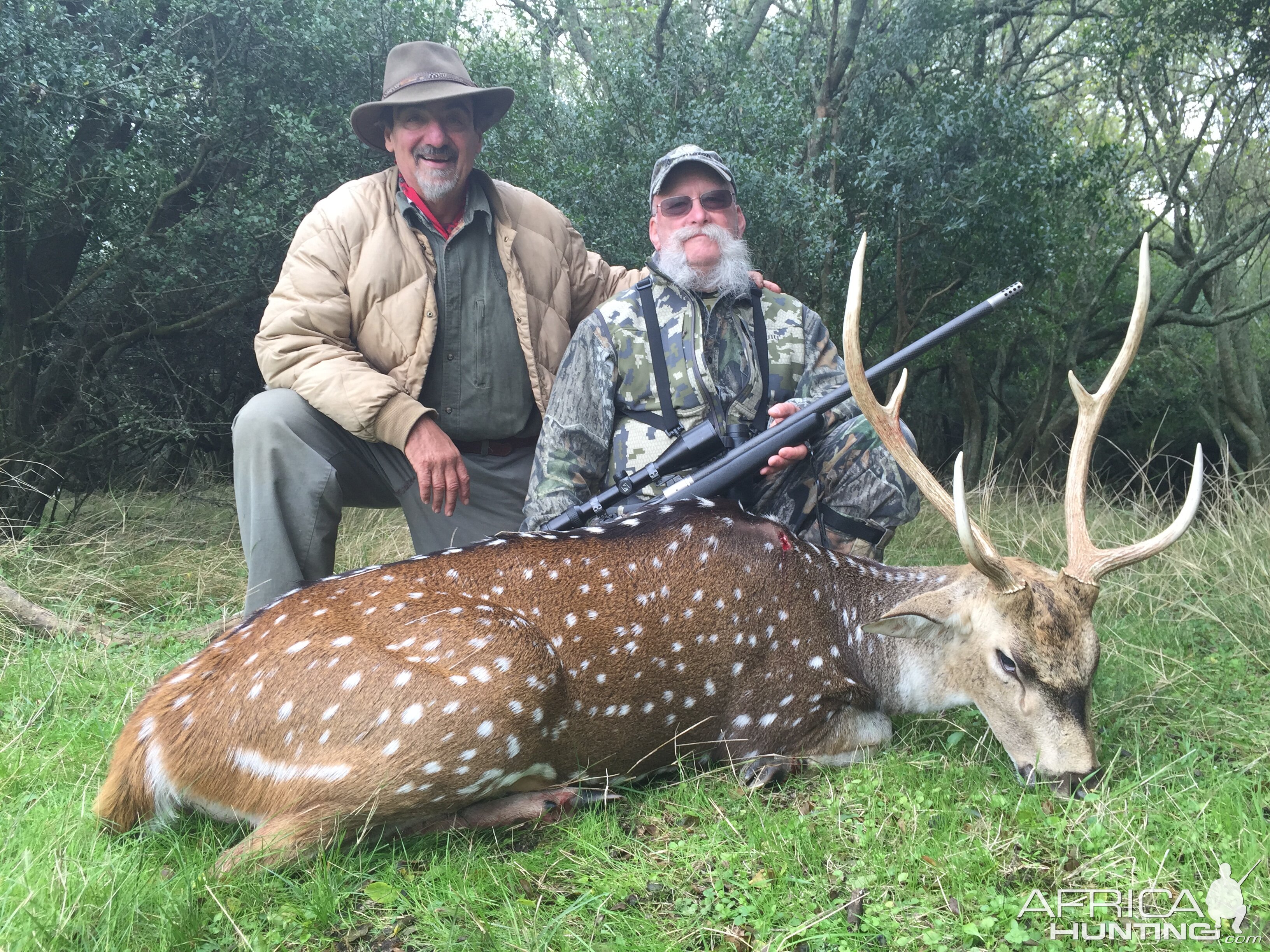 Axis Deer Hunting Argentina