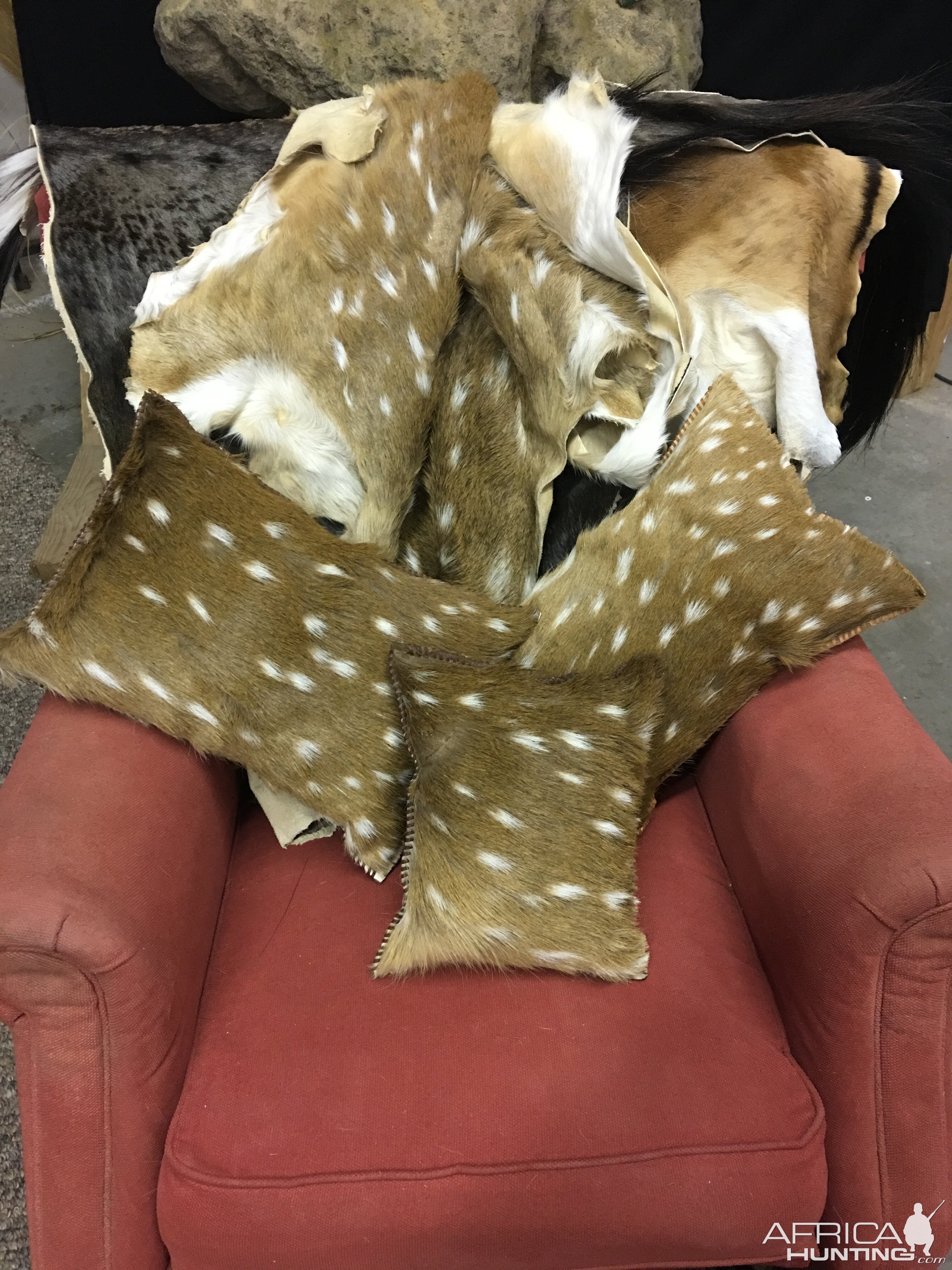 Axis Deer Pillow