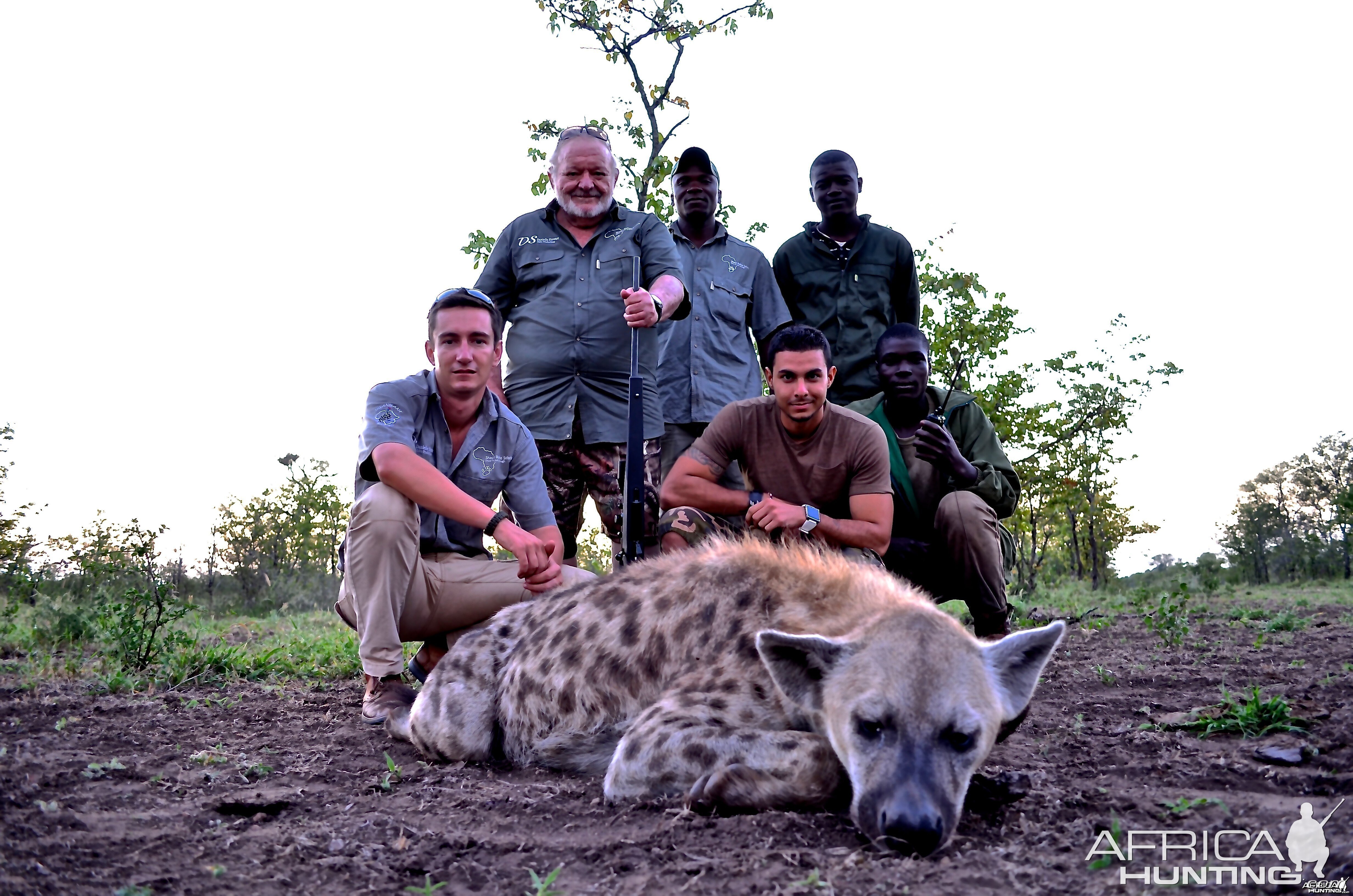 B V C ZIMBABWE HYENA