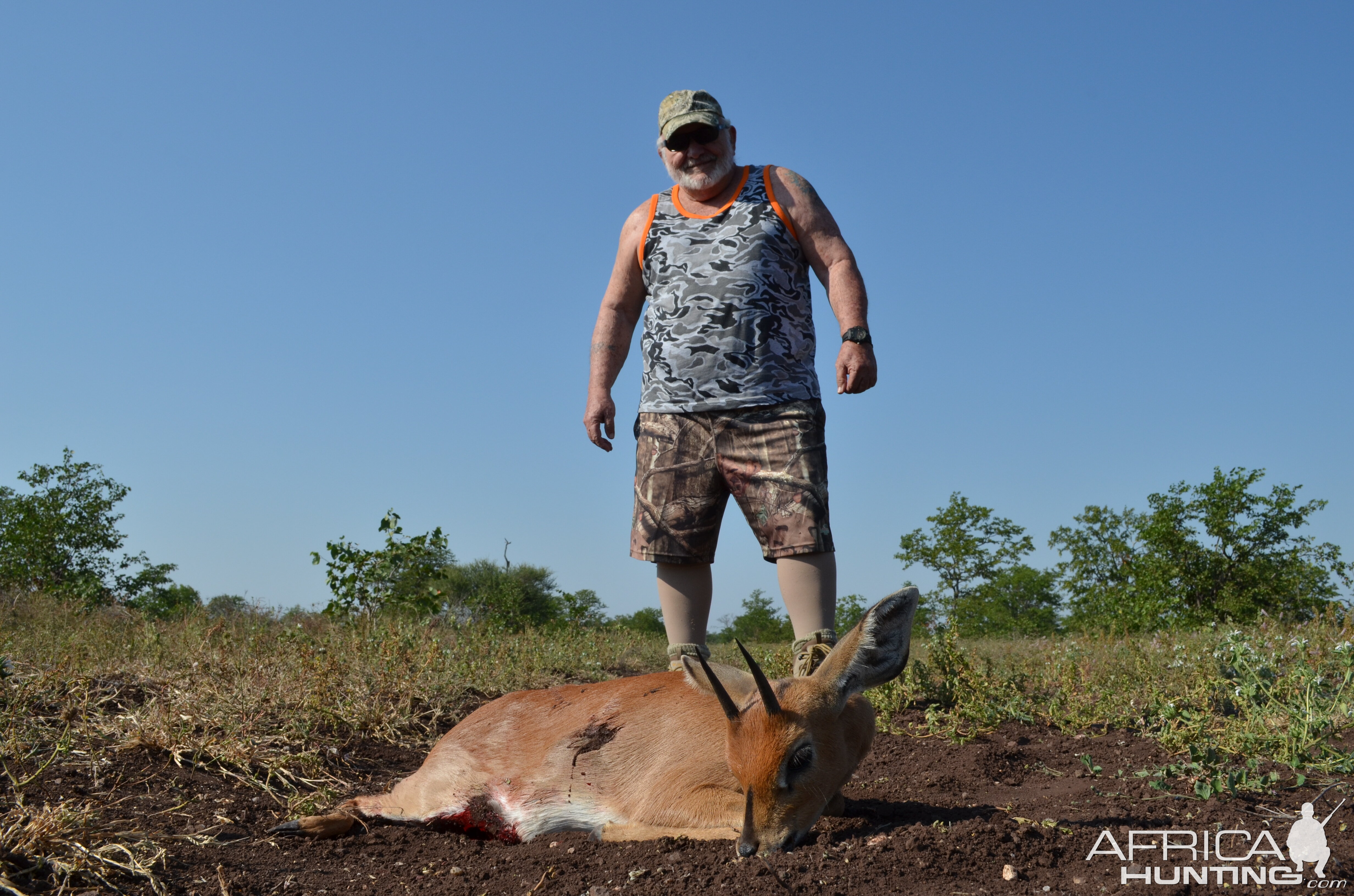 B V C ZIMBABWE STEENBOK