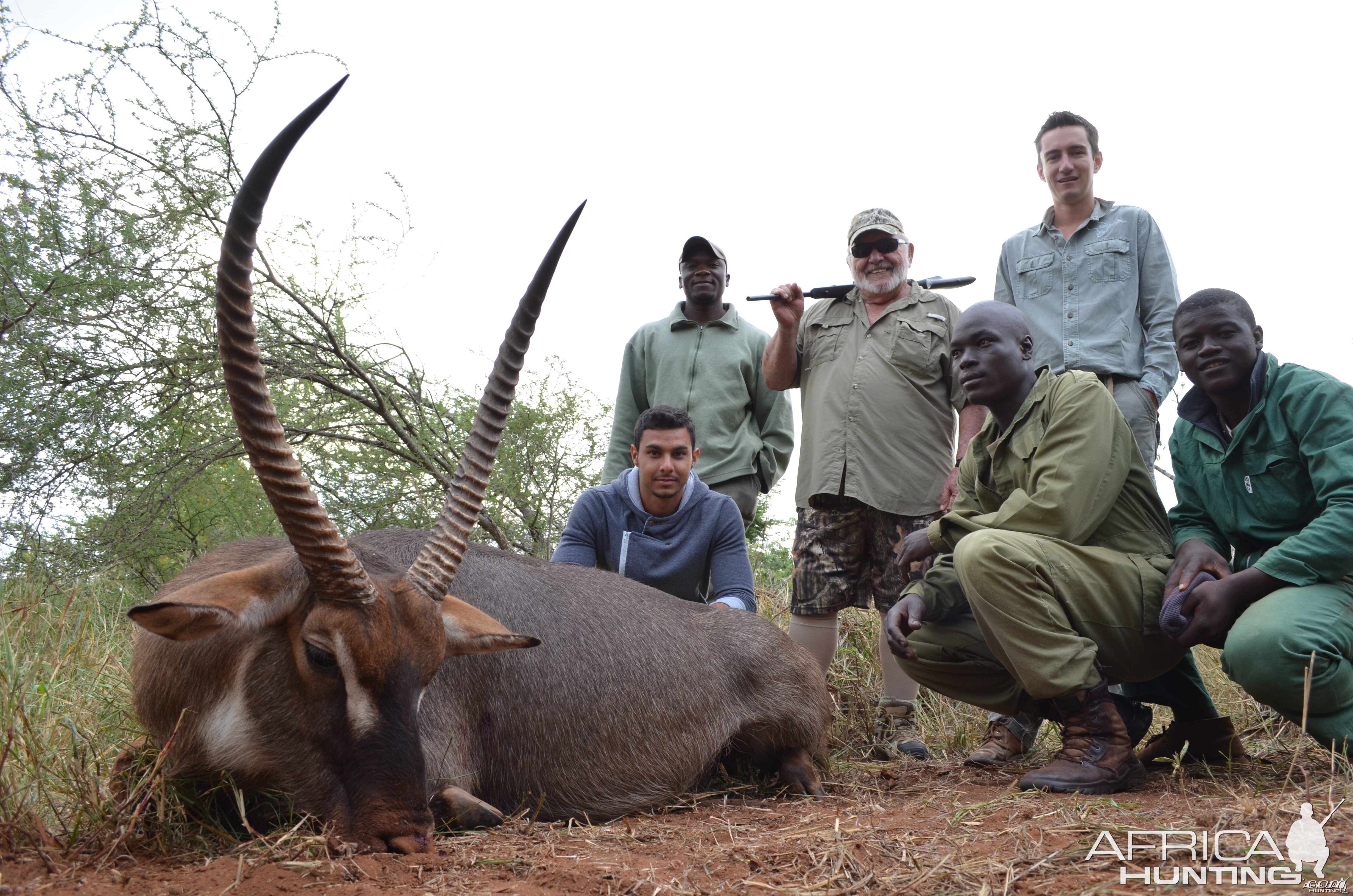 B V C ZIMBABWE WATERBUCK