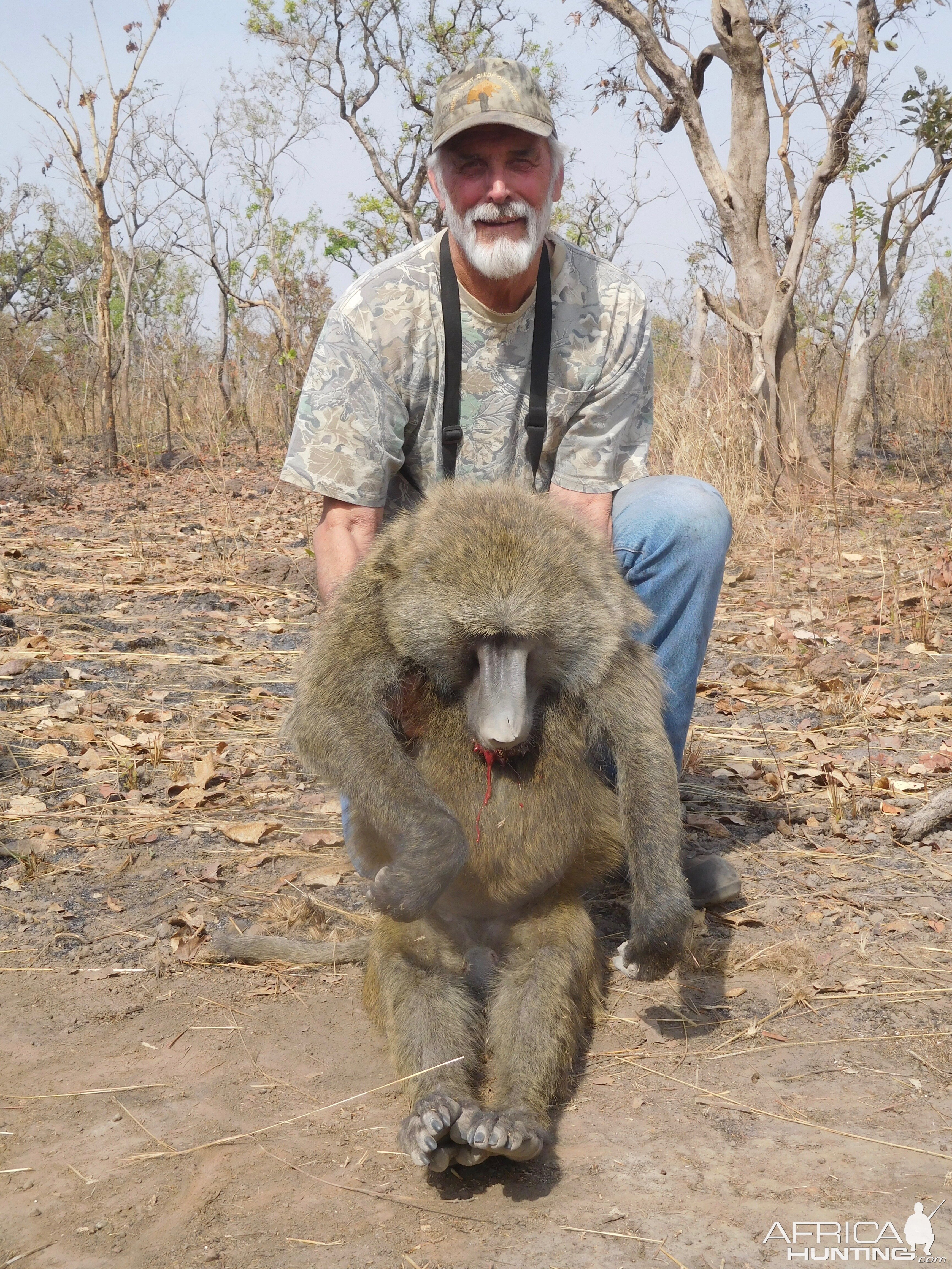 Baboon Hunt Cameroon