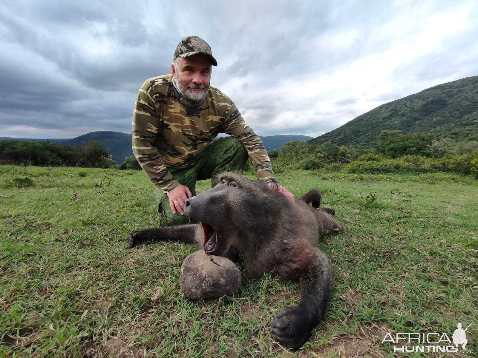 Baboon Hunt Eastern Cape South Africa