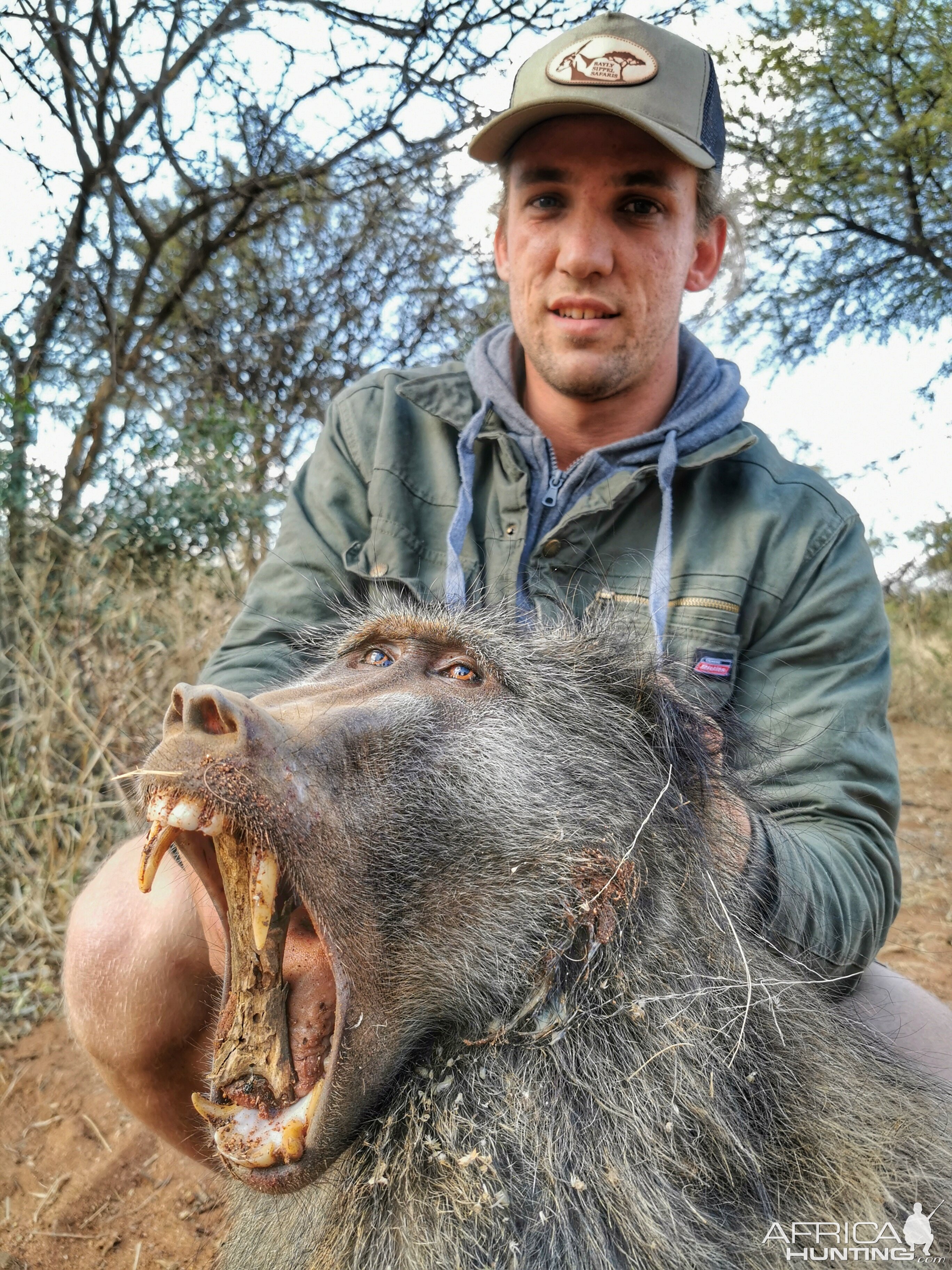 Baboon Hunt South Africa