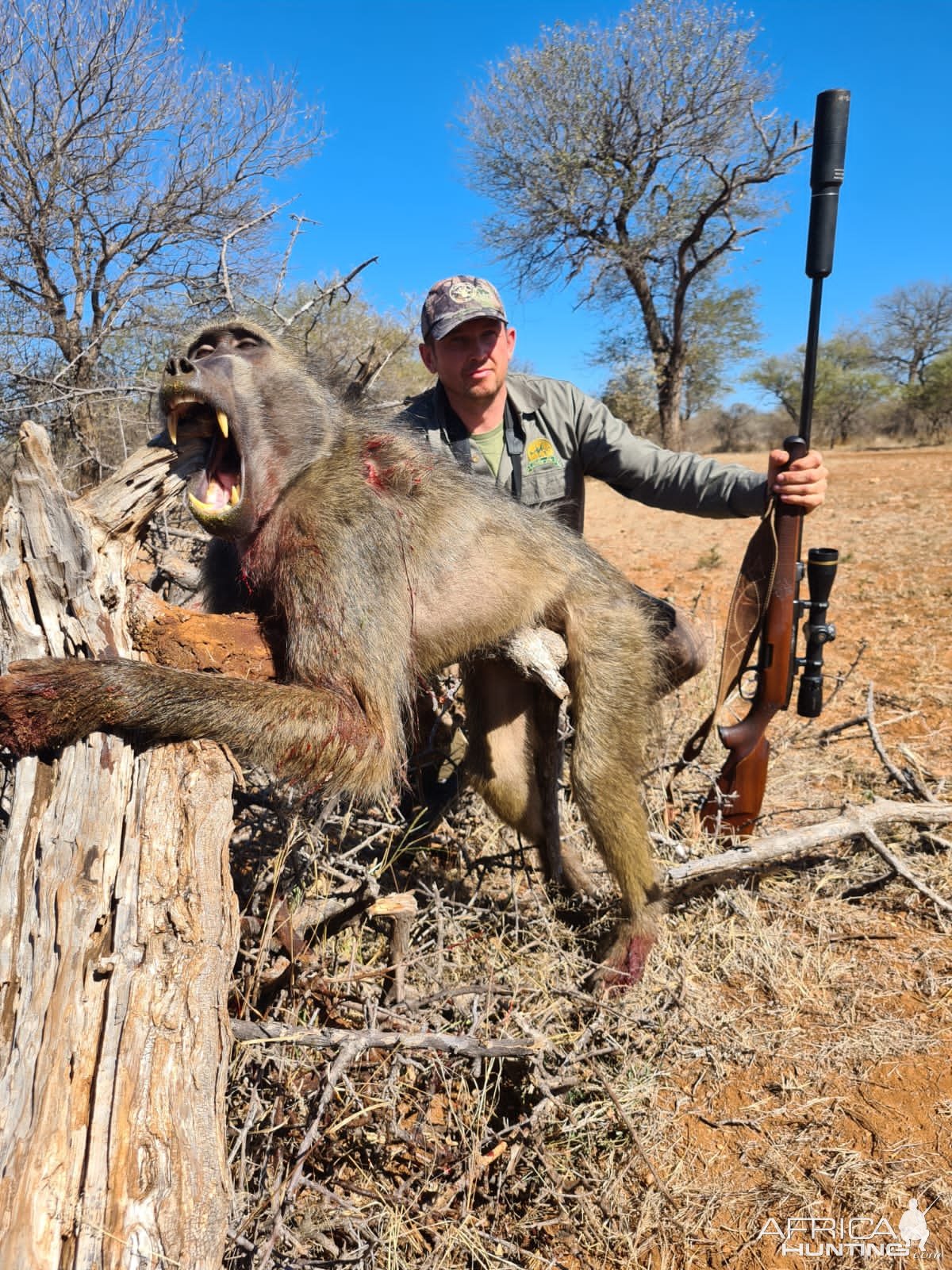 Baboon Hunt South Africa