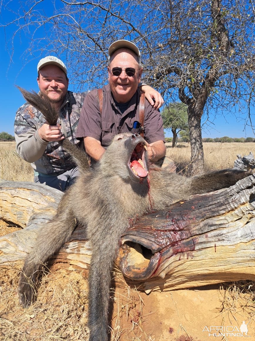 Baboon Hunt South Africa