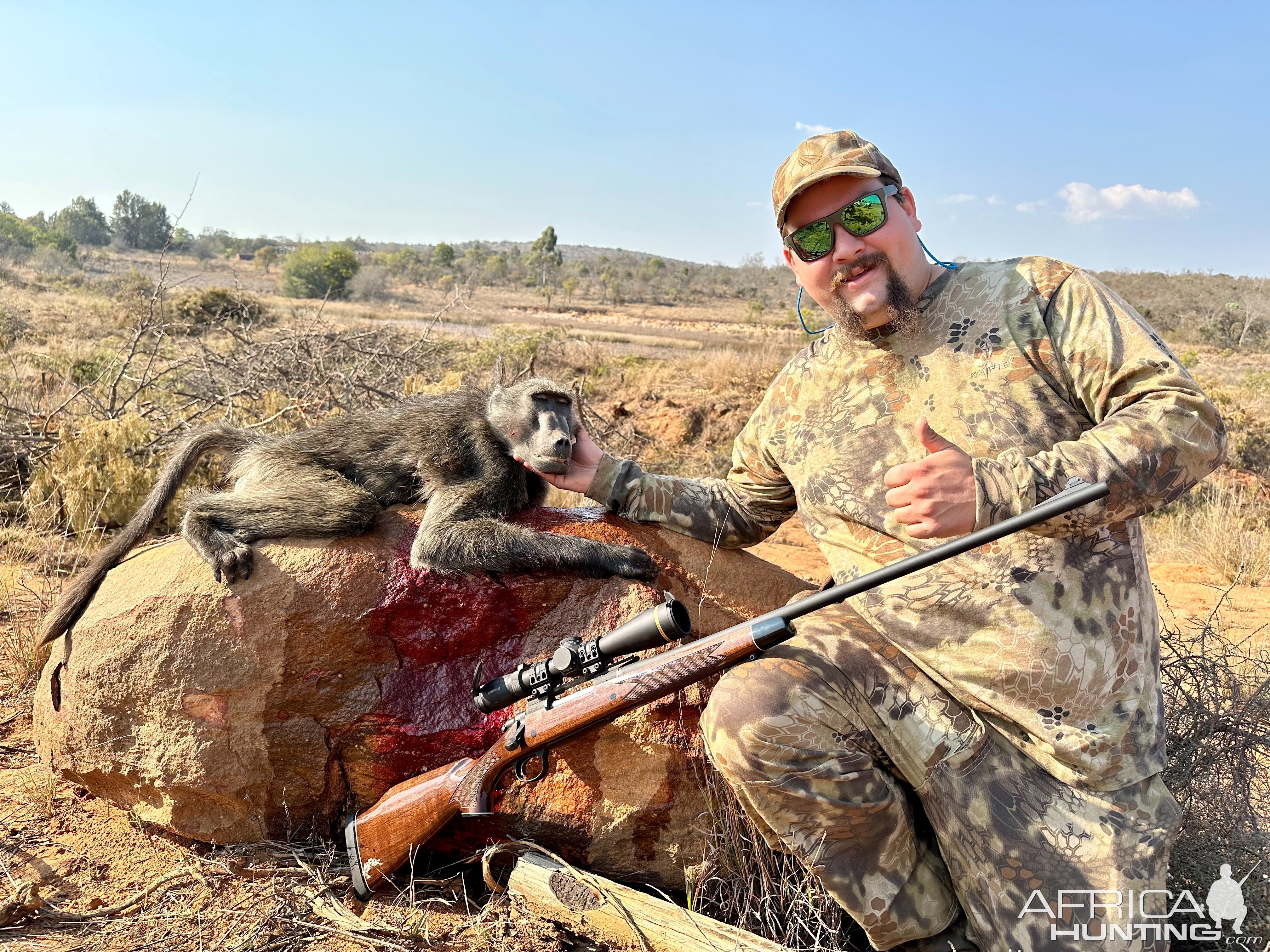 Baboon Hunt South Africa