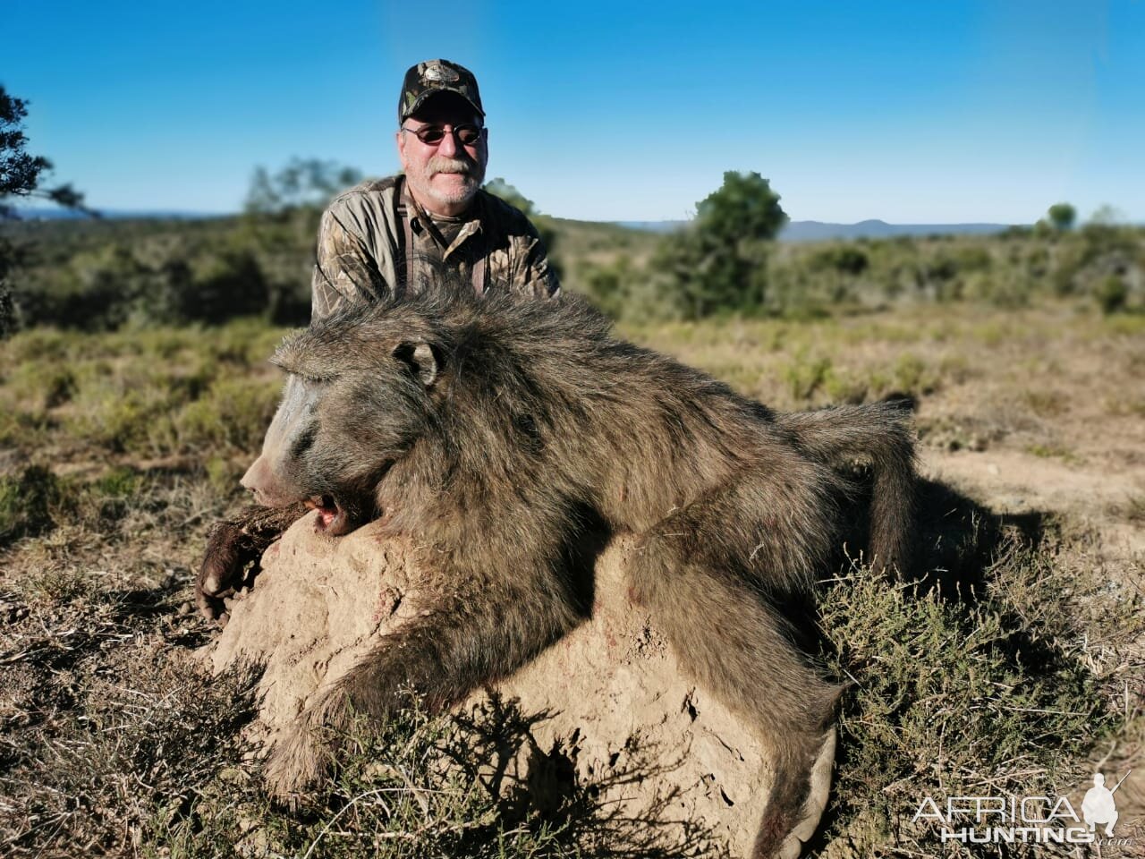 Baboon Hunt South Africa