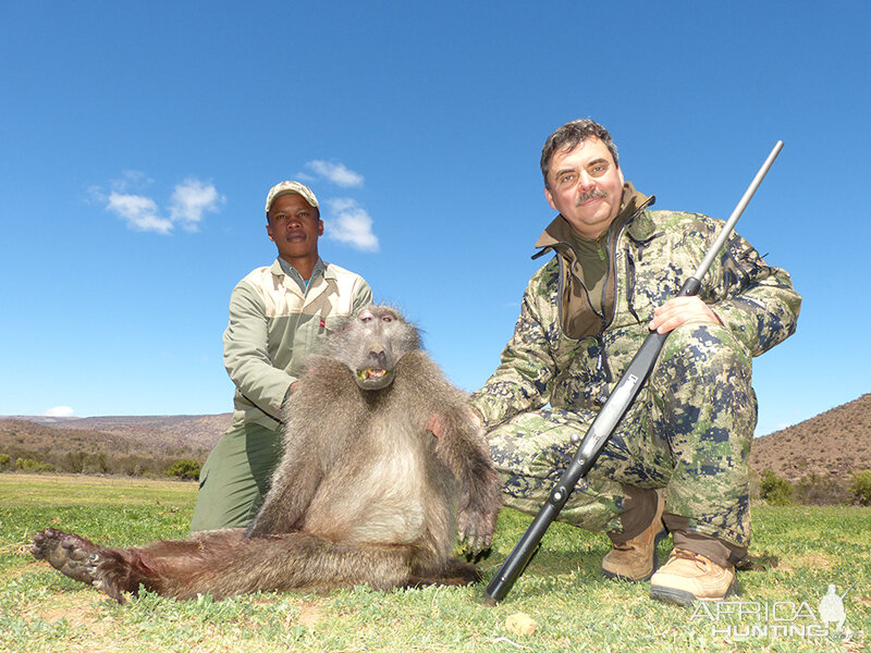 Baboon hunt with Wintershoek Johnny Vivier Safaris