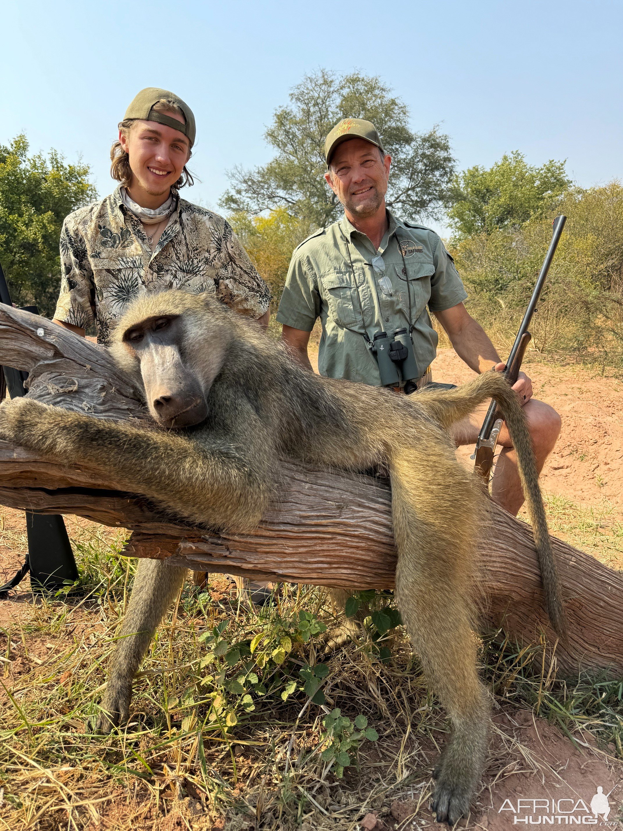 Baboon Hunt Zimbabwe