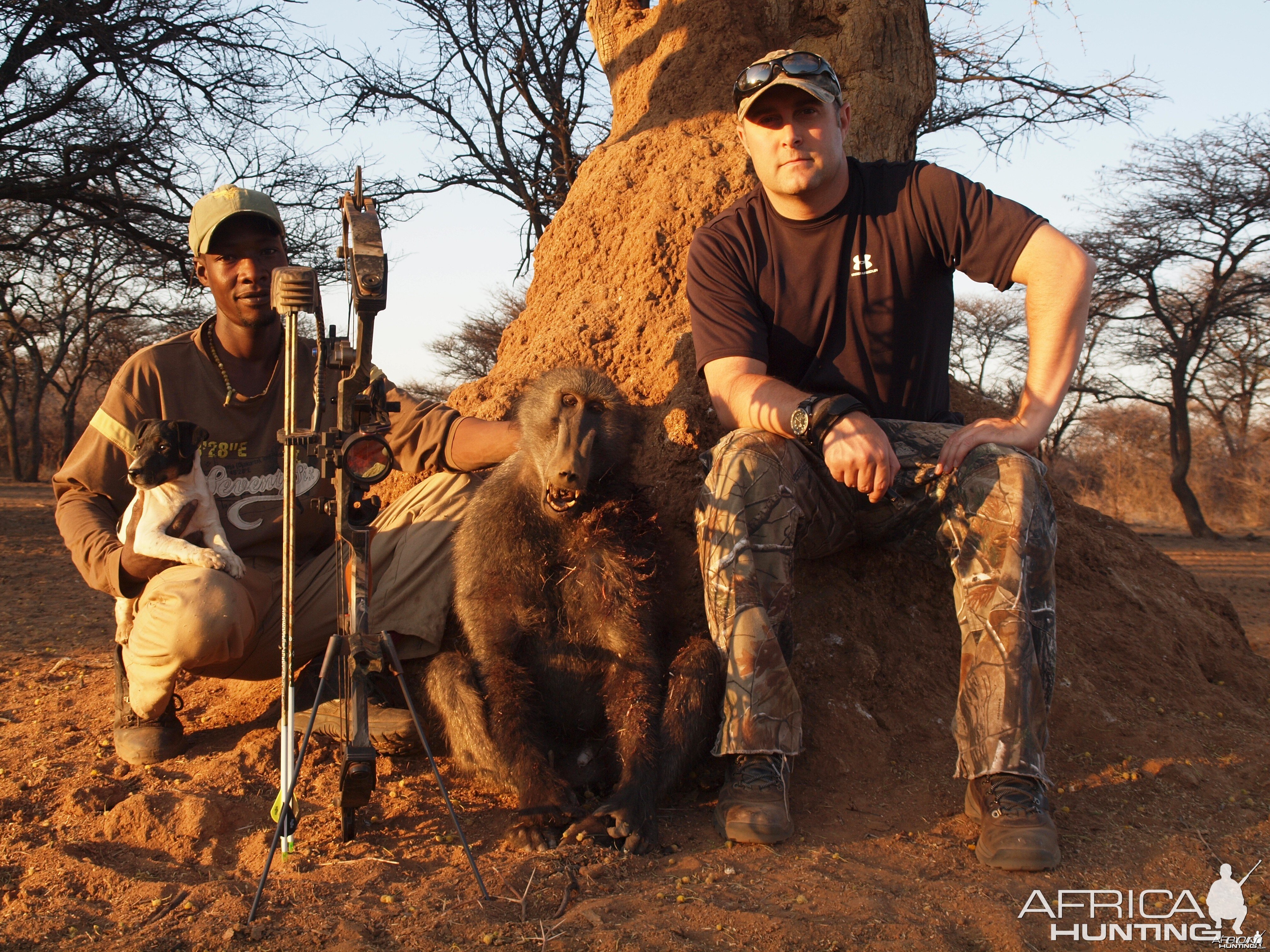 Baboon hunted with Ozondjahe Hunting Safaris in Namibia