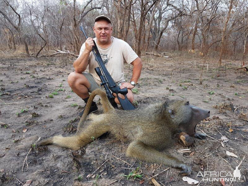 Baboon Hunting Mozambique