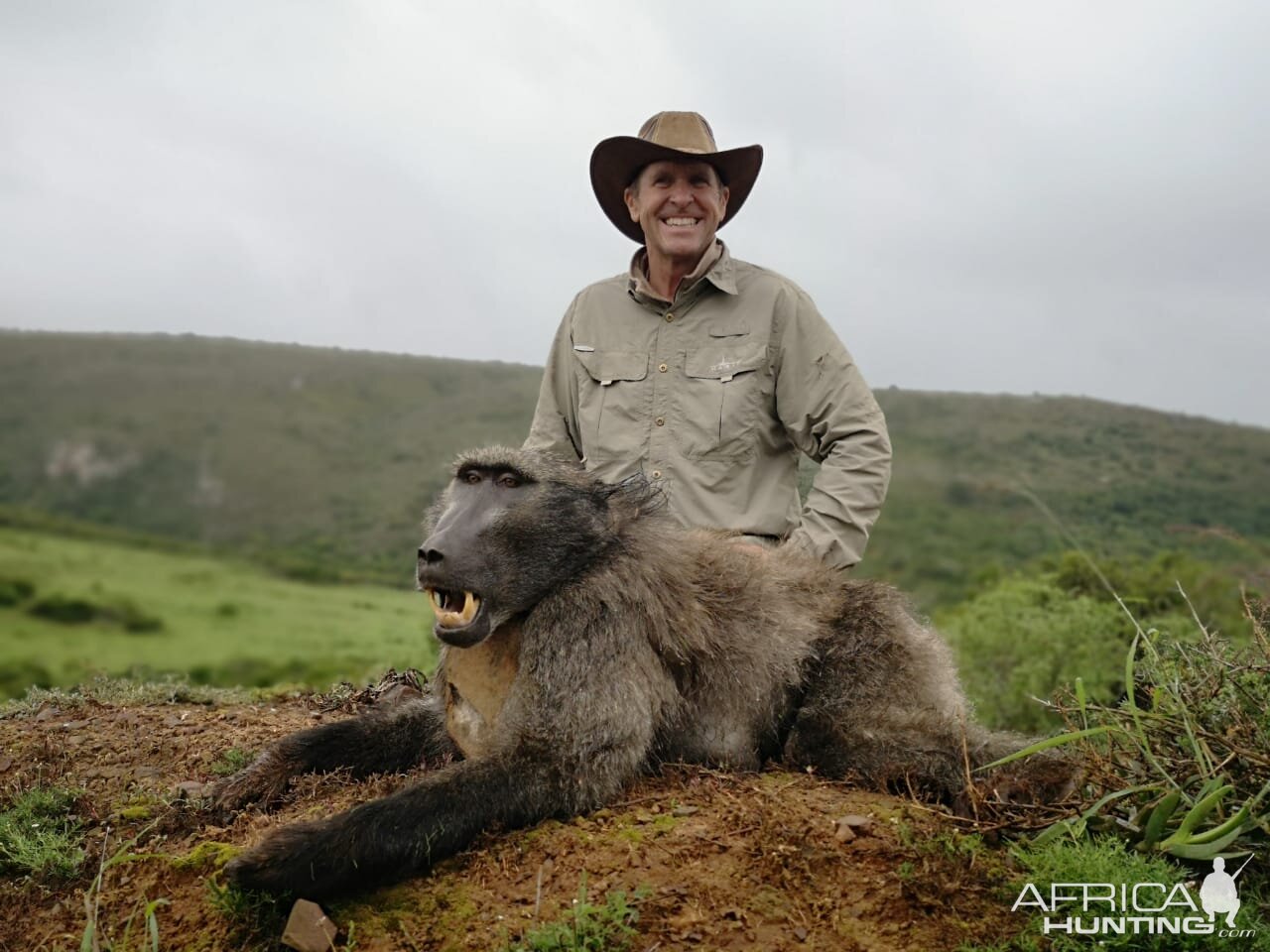 Baboon Hunting South Africa