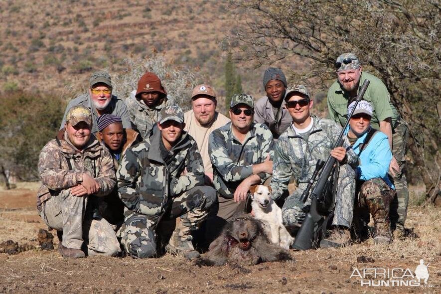 Baboon Hunting South Africa