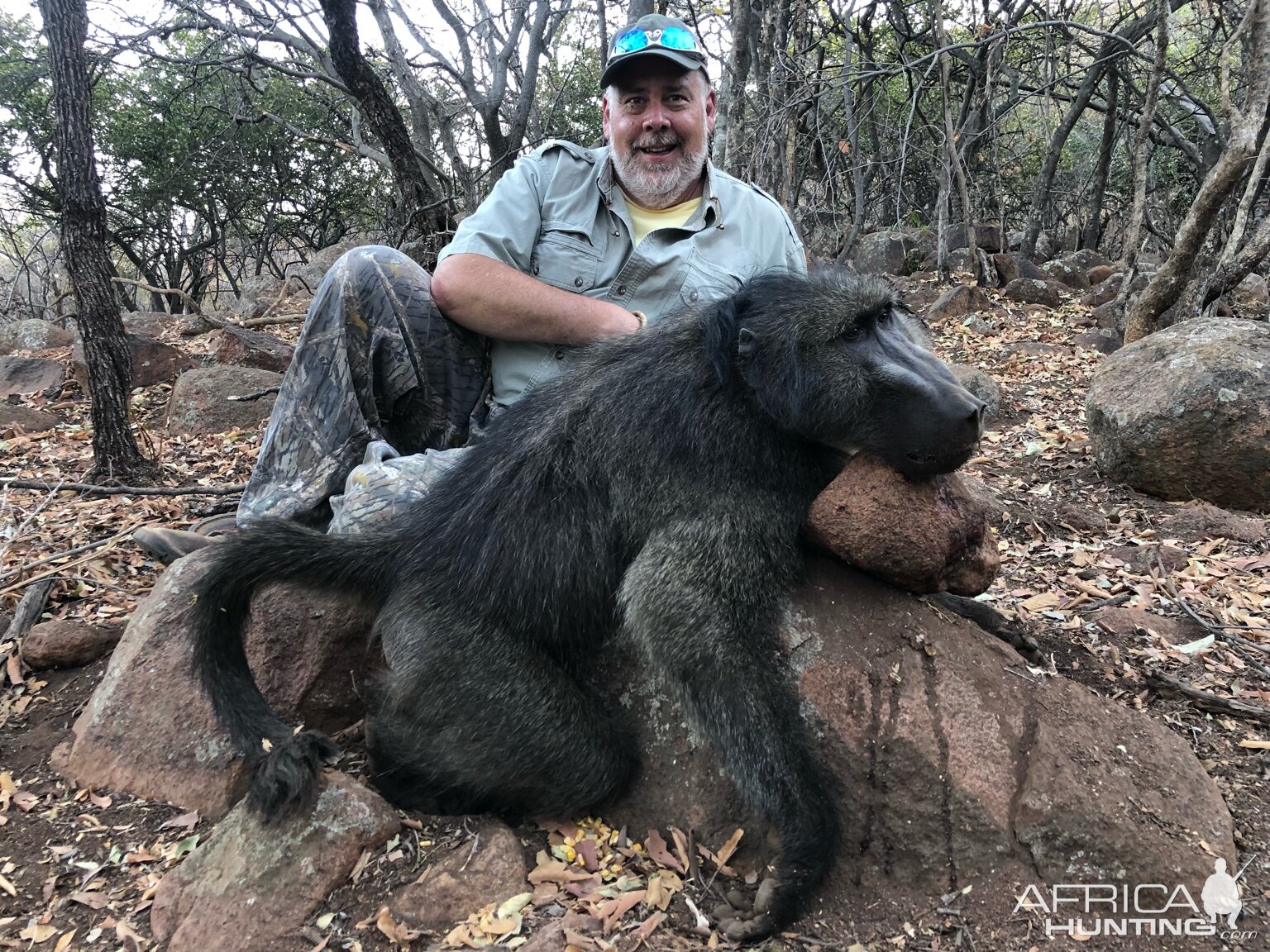 Baboon Hunting South Africa