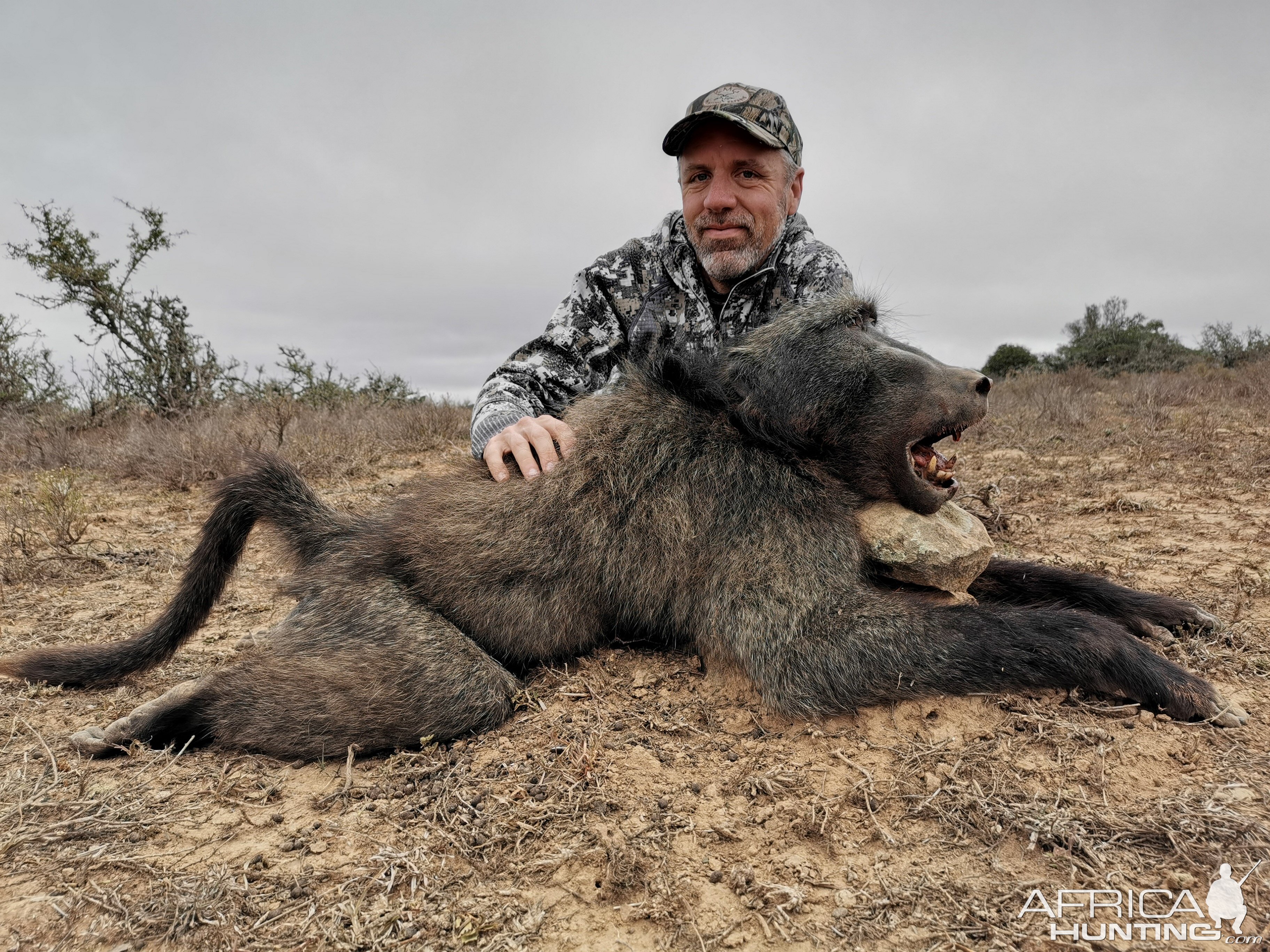 Baboon Hunting South Africa