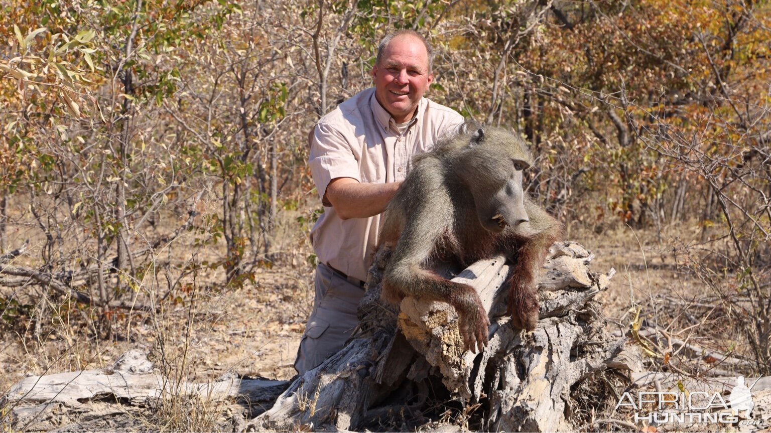 Baboon Hunting Zimbabwe