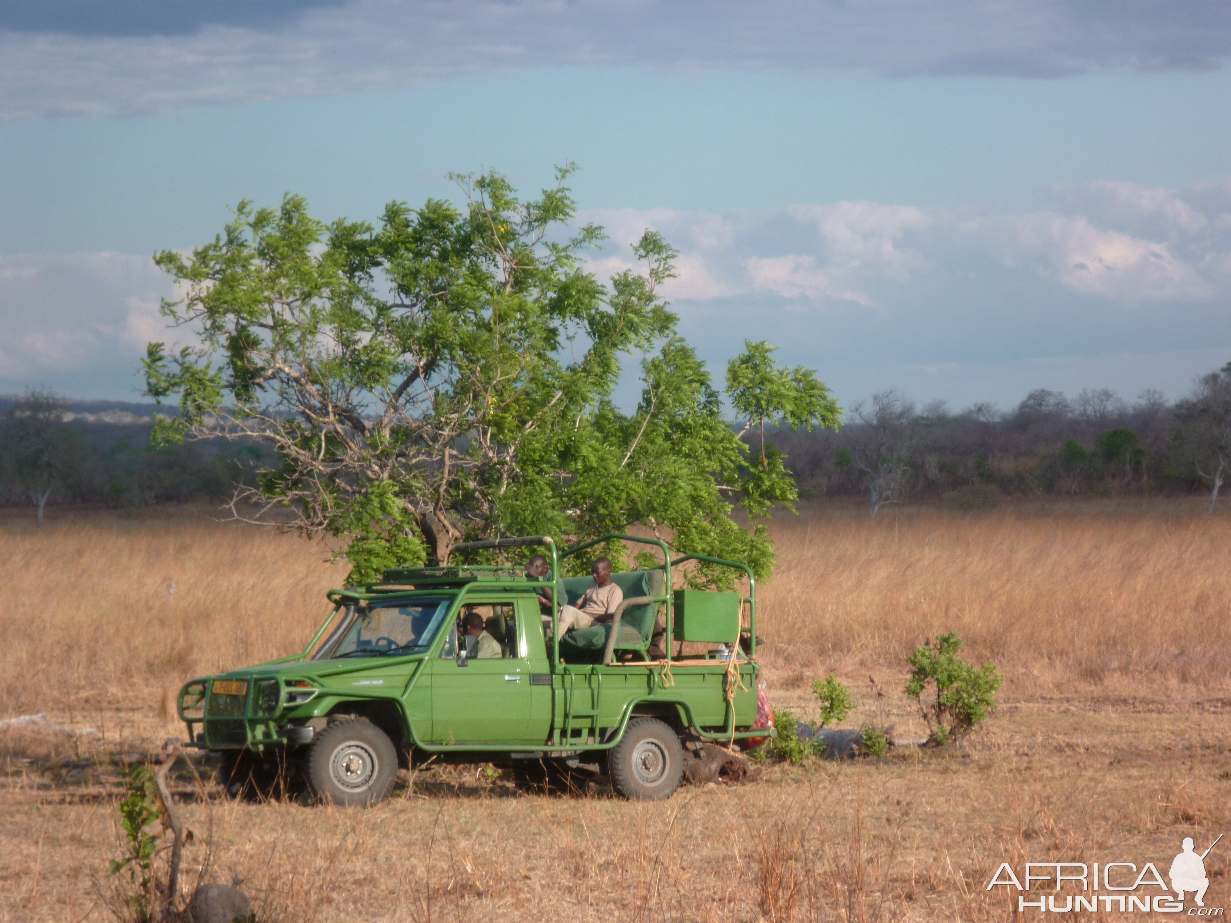 Baiting for dangerous game hunting in Tanzania