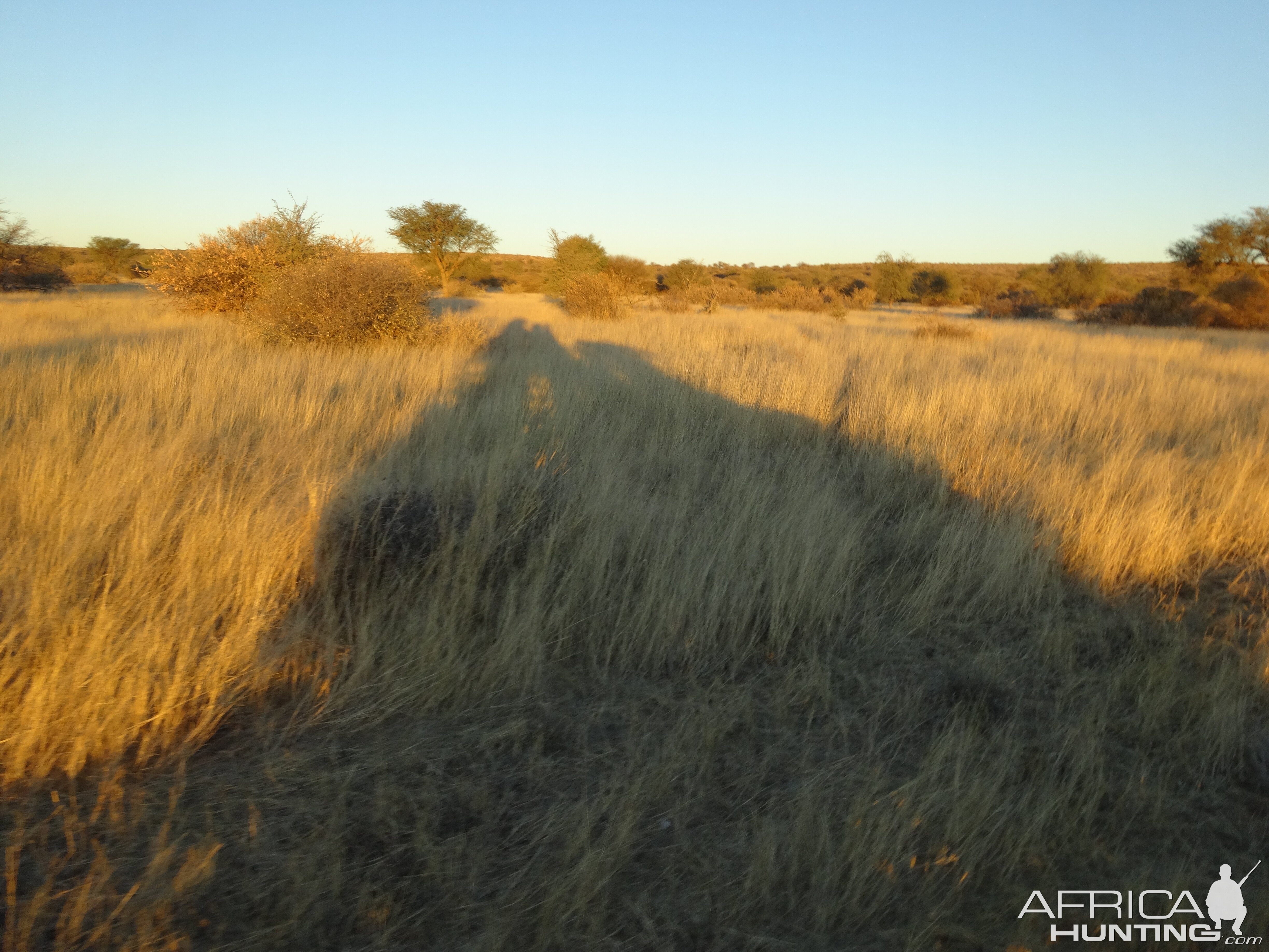 bakkie at sunrise