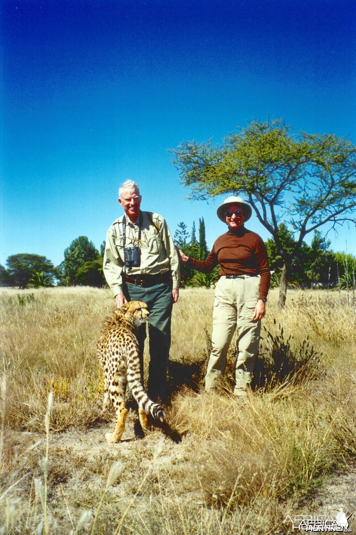 Baloo our Cheetah who is sadly no longer with us