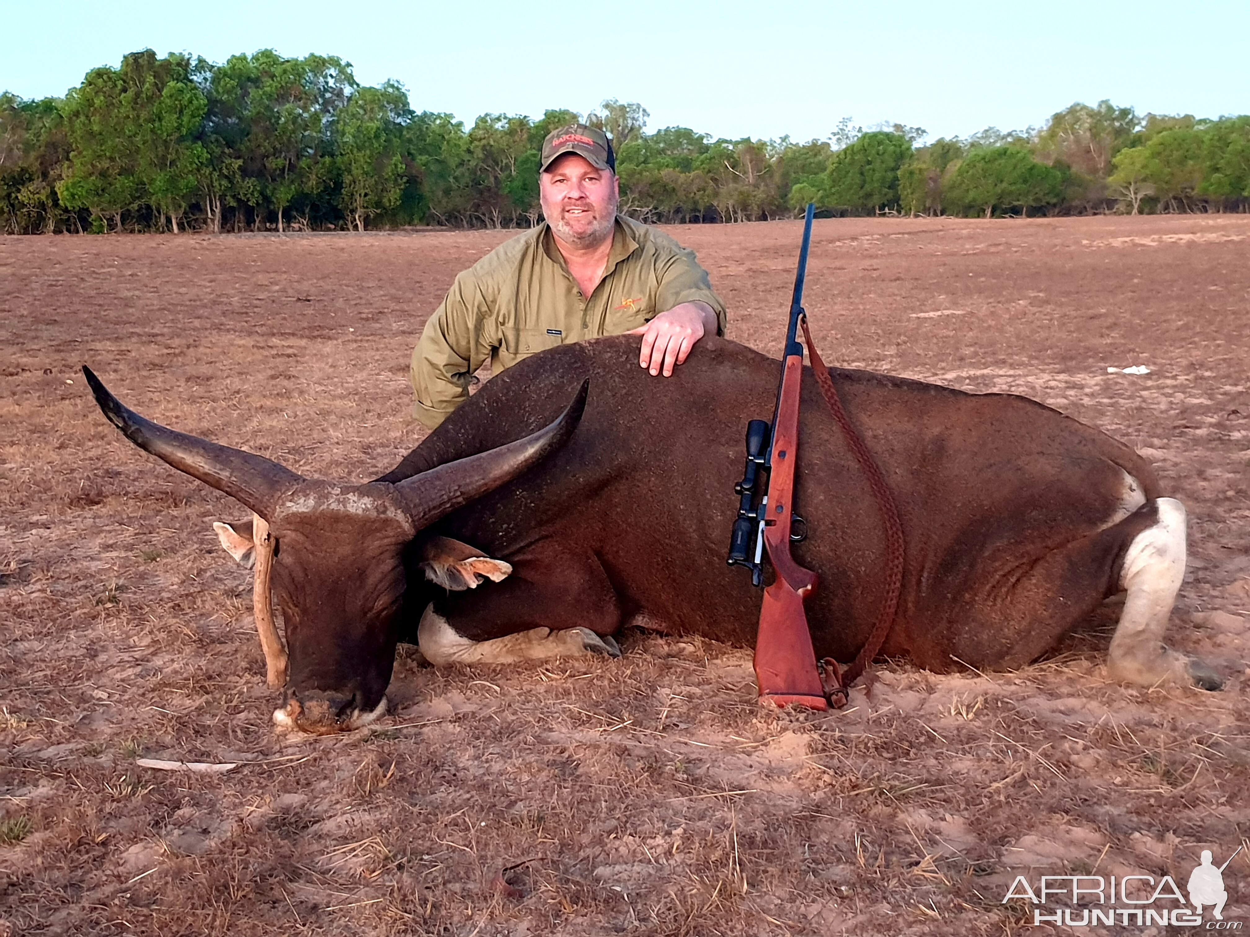 Banteng Hunt Australia