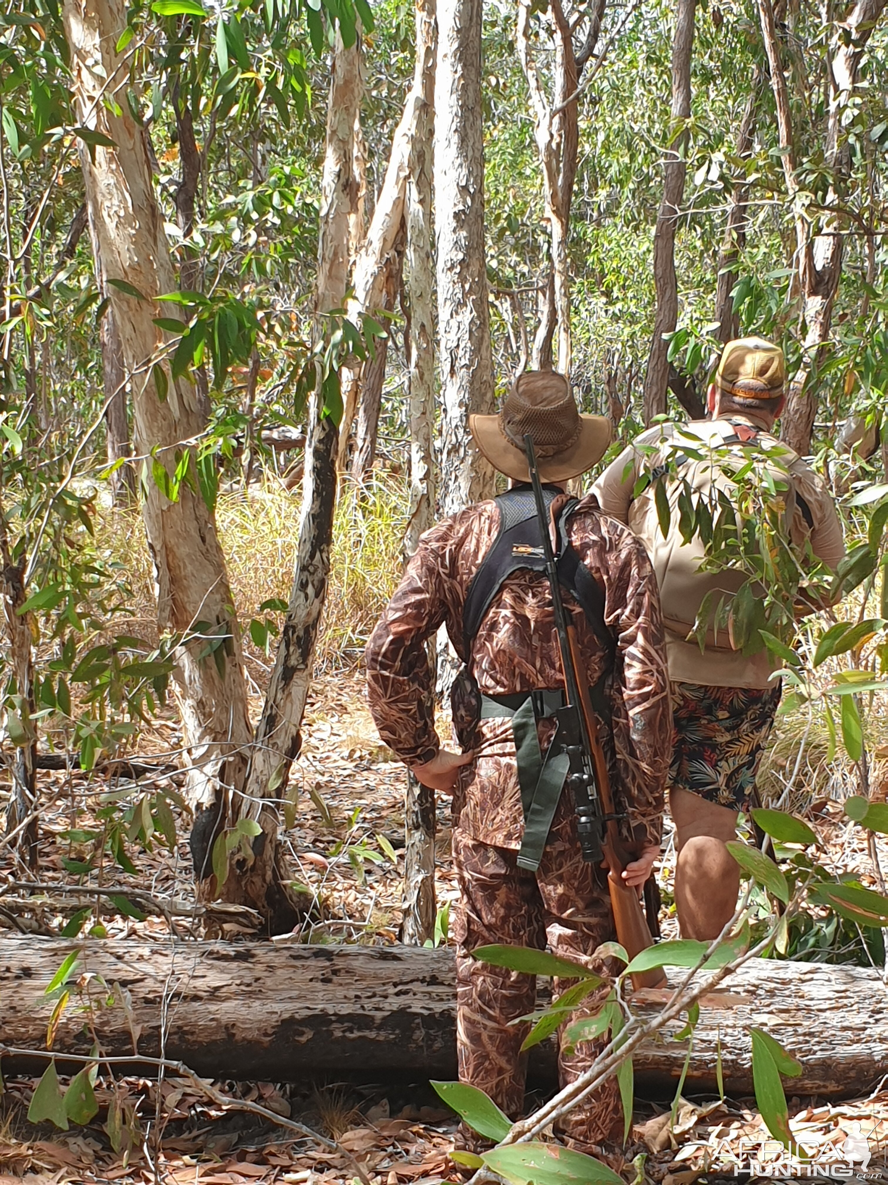 Banteng Hunt Australia