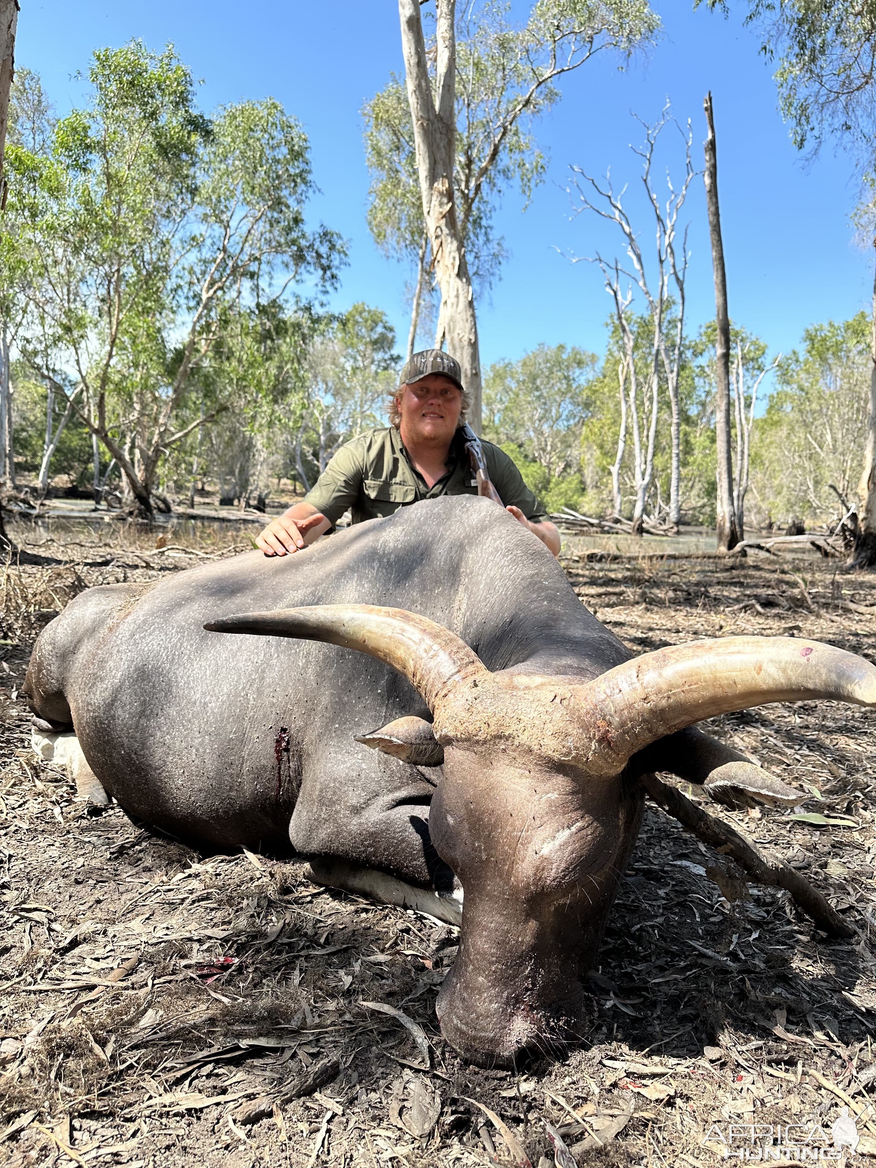 Banteng Hunt Australia