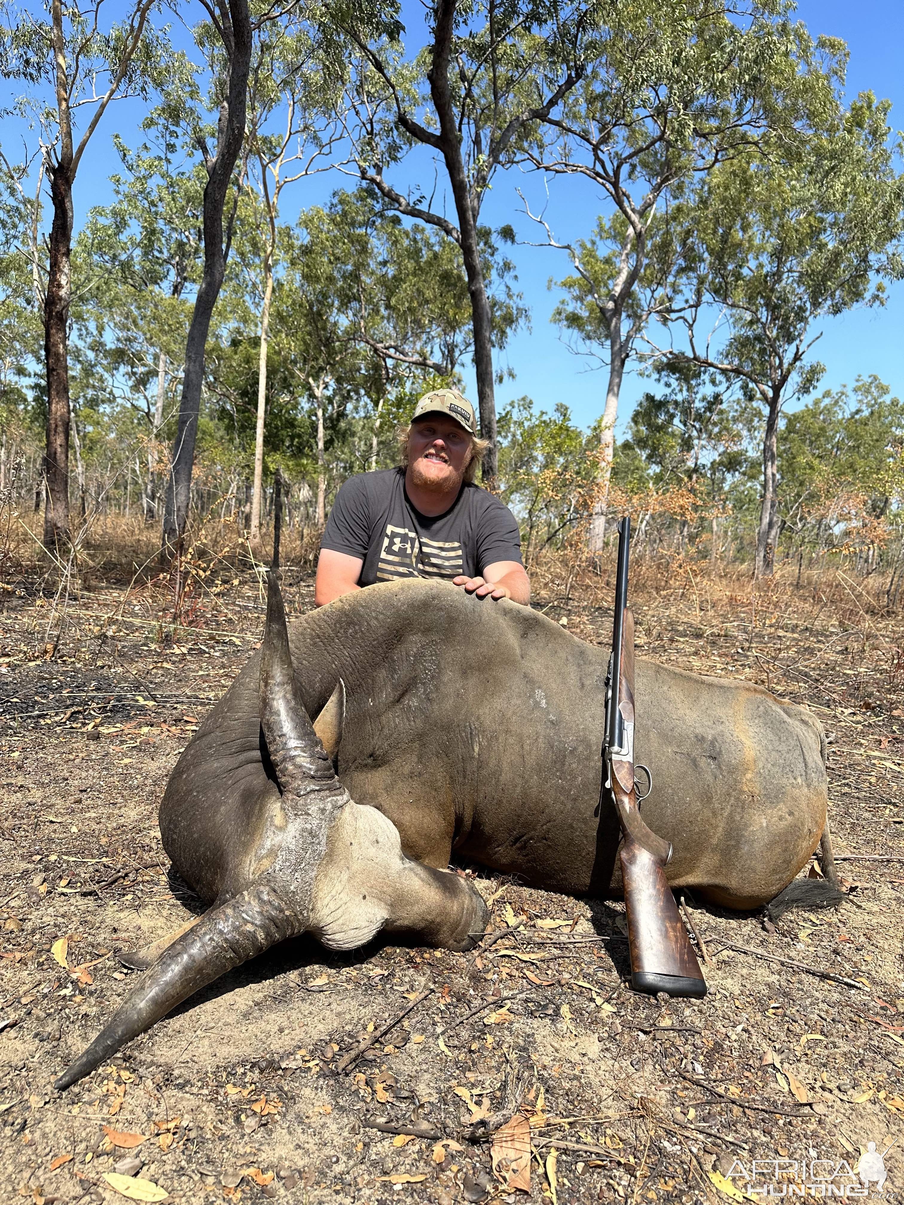 Banteng Hunt Australia