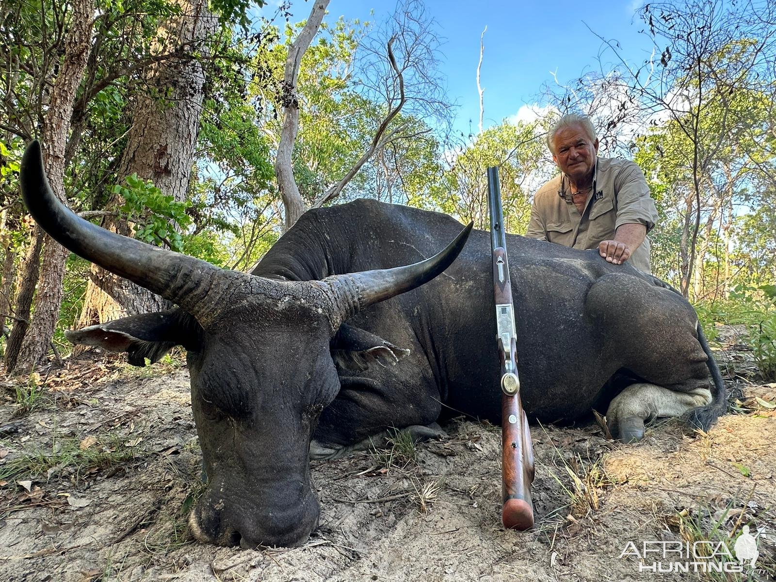 Banteng Hunt Australia