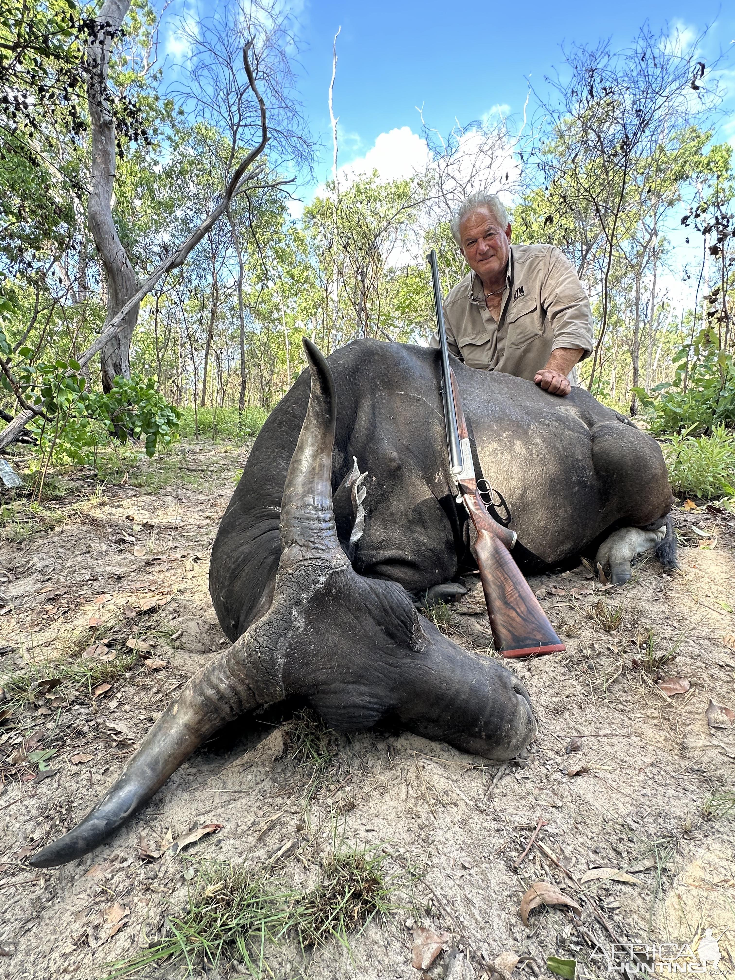 Banteng Hunt Australia