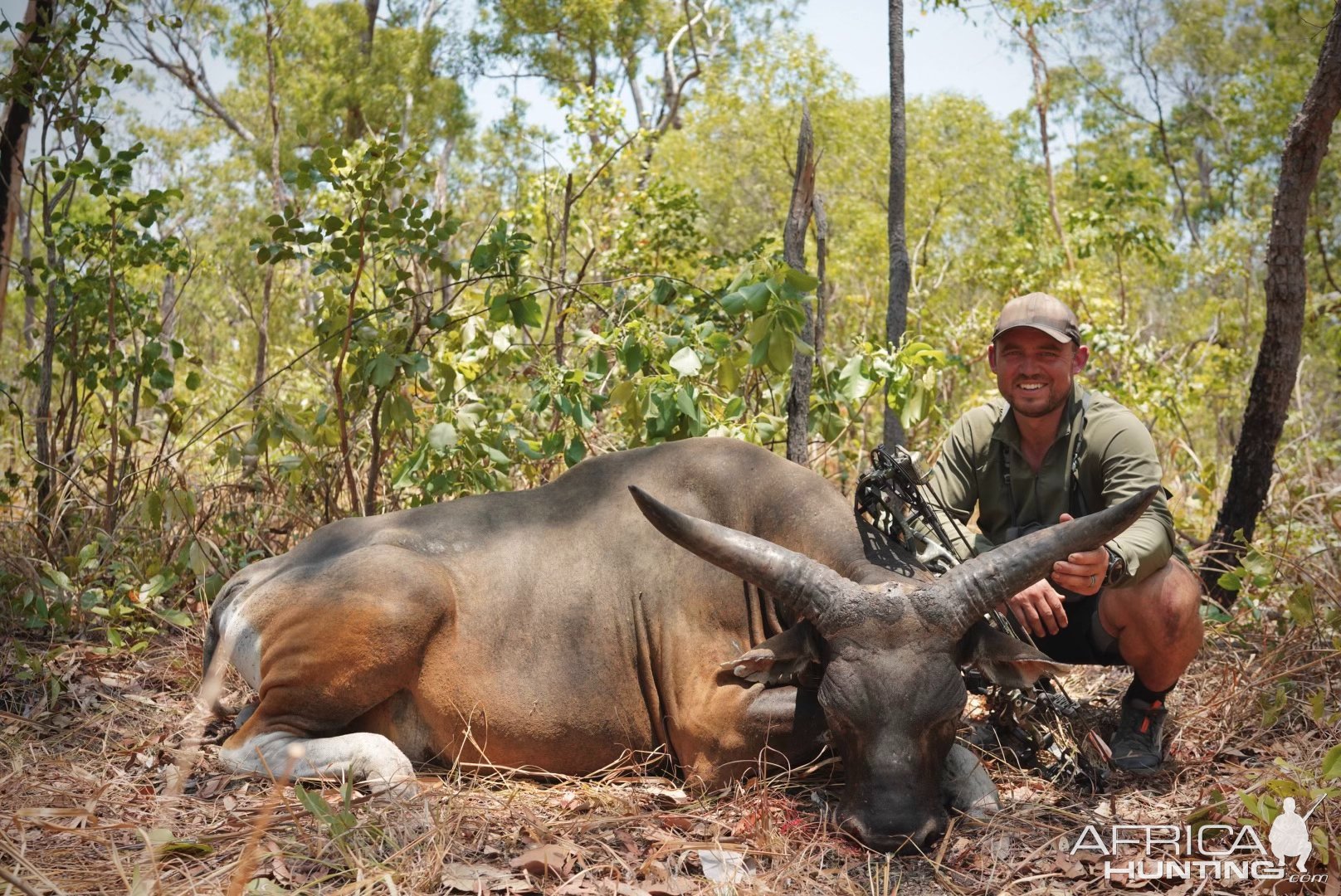 Banteng Hunt Australia