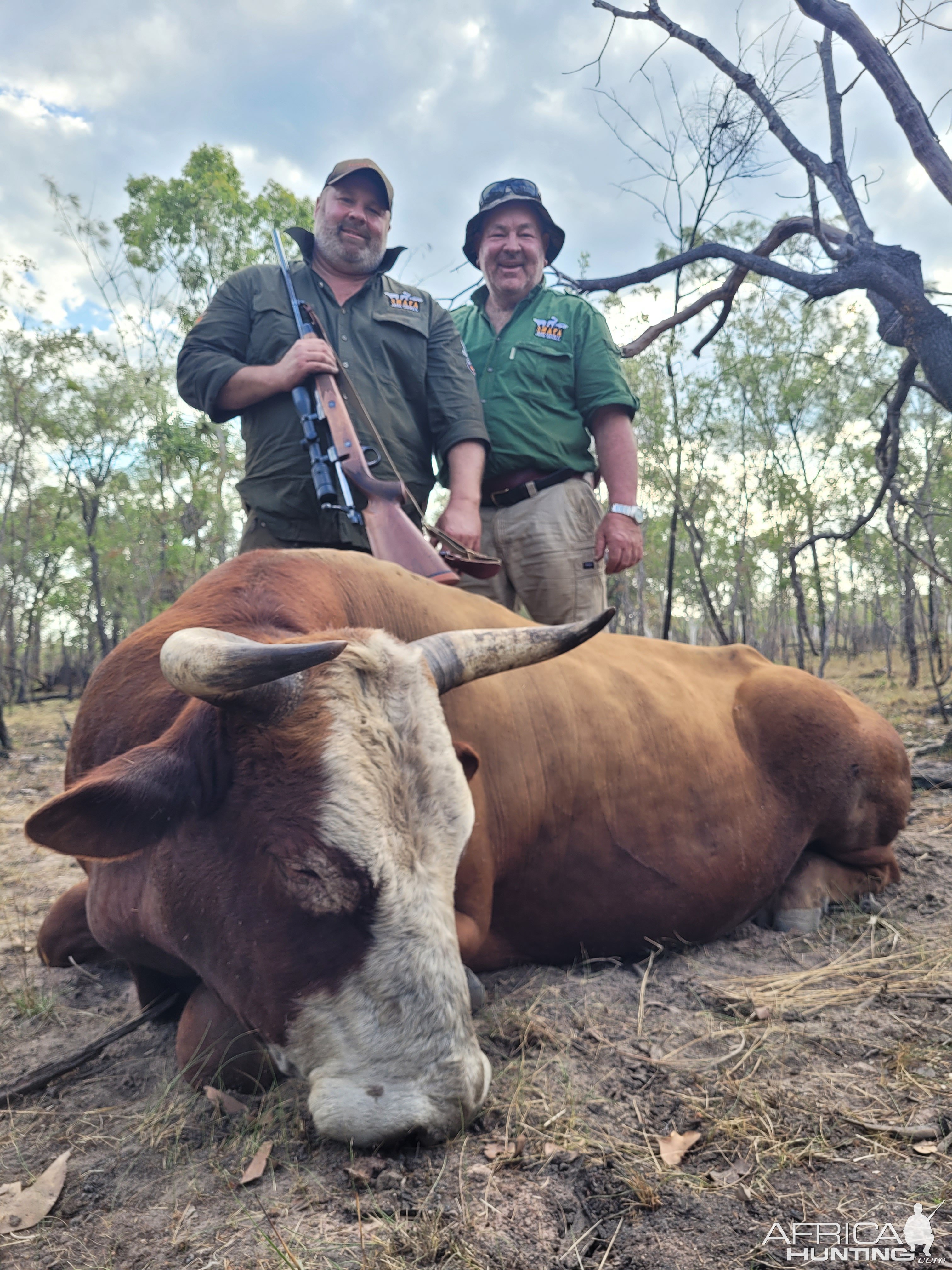 Banteng Hunting Australia