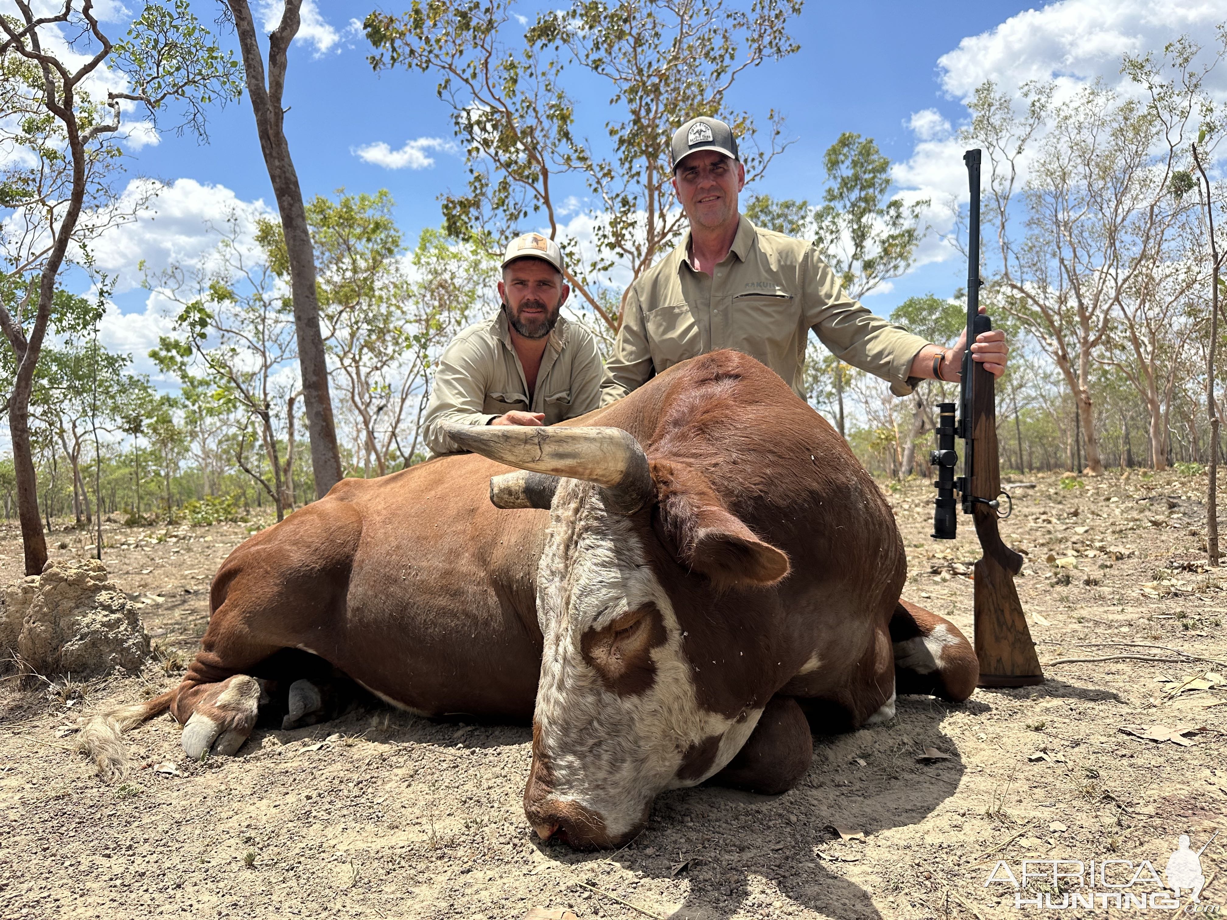 Banteng Hunting Australia