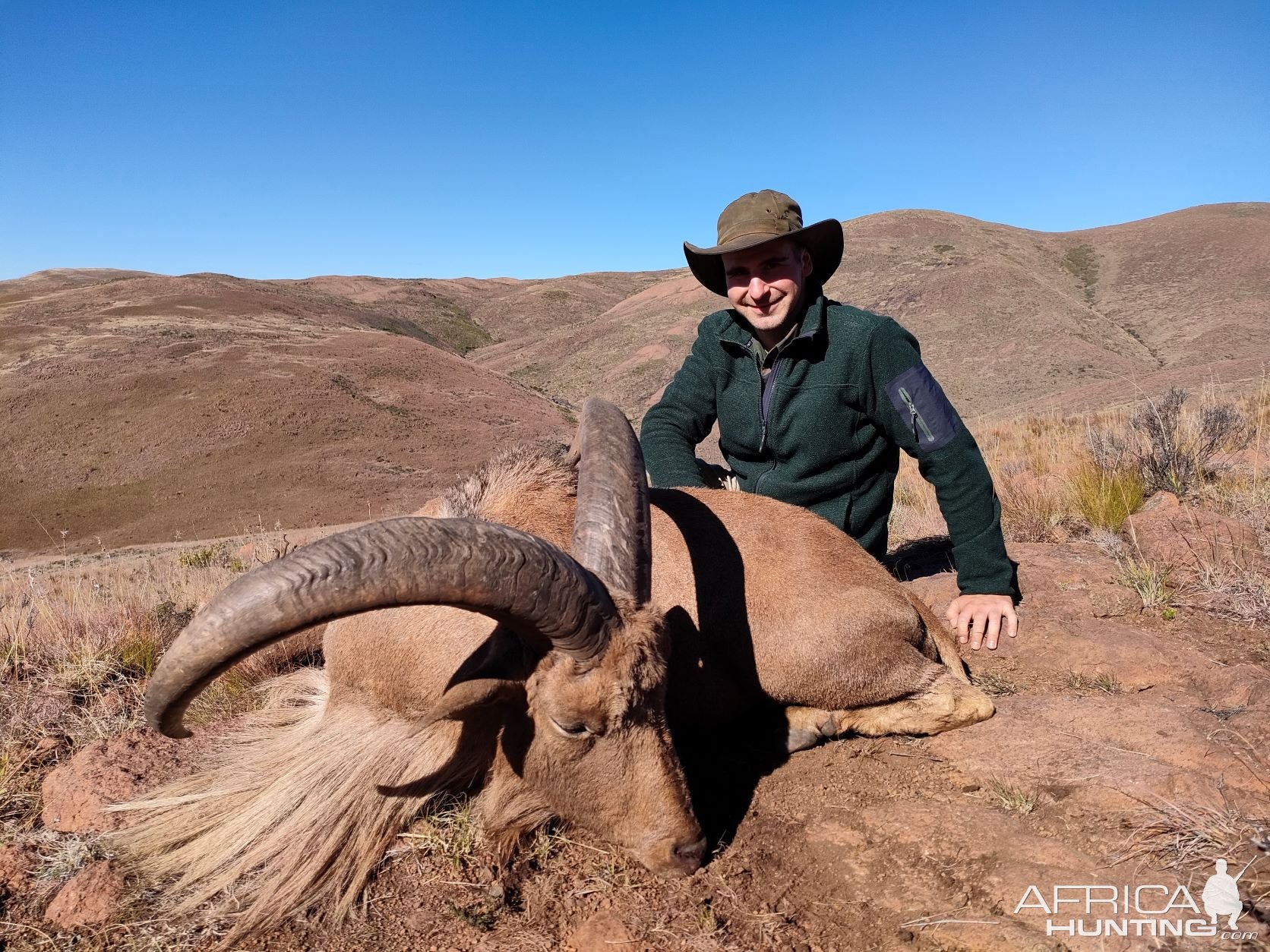 Barbary Sheep Hunting