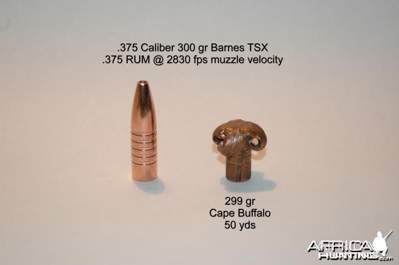 Barnes 375 300gr TSX