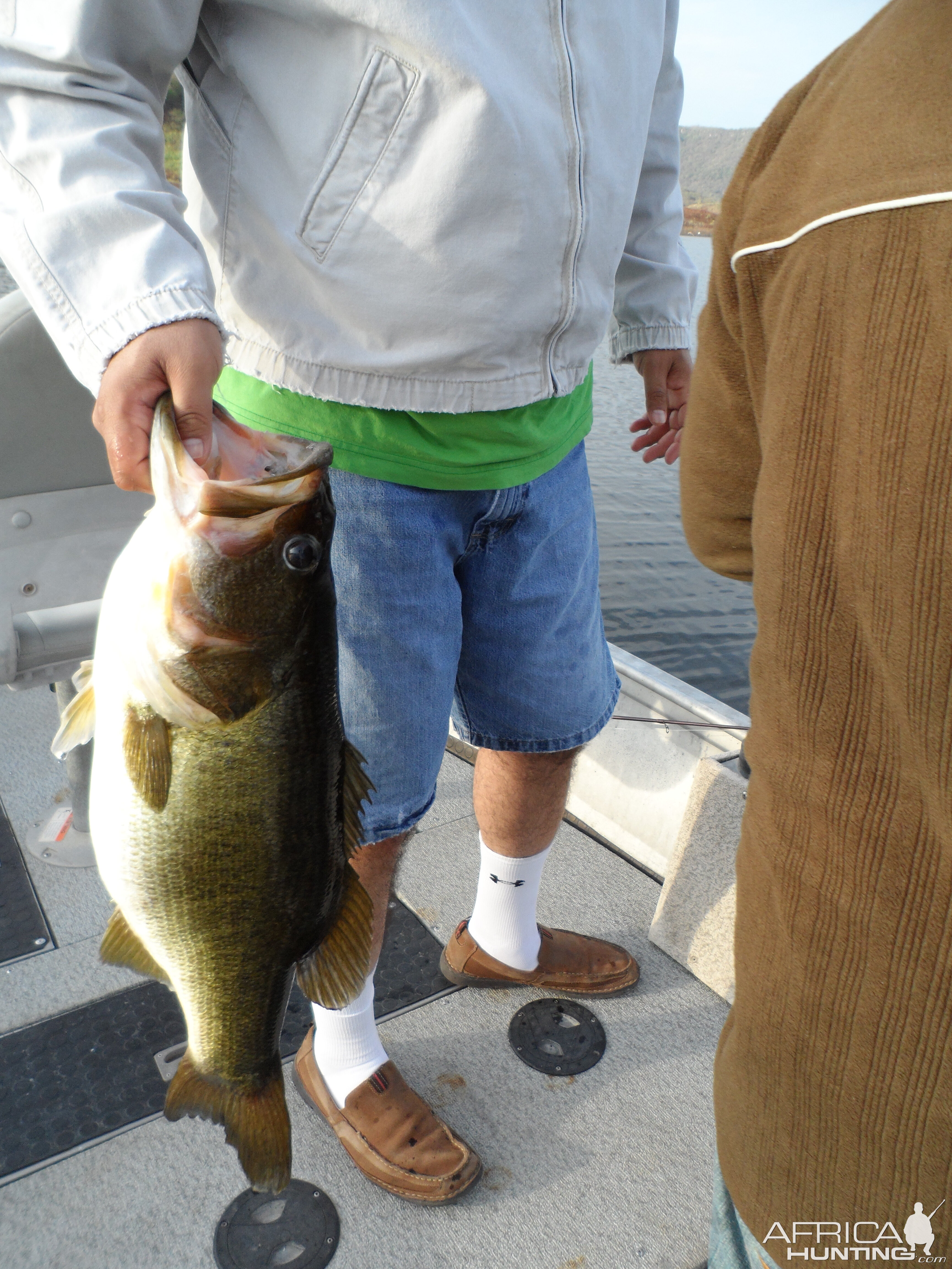 Bass of Sinaloa in Western Mexico