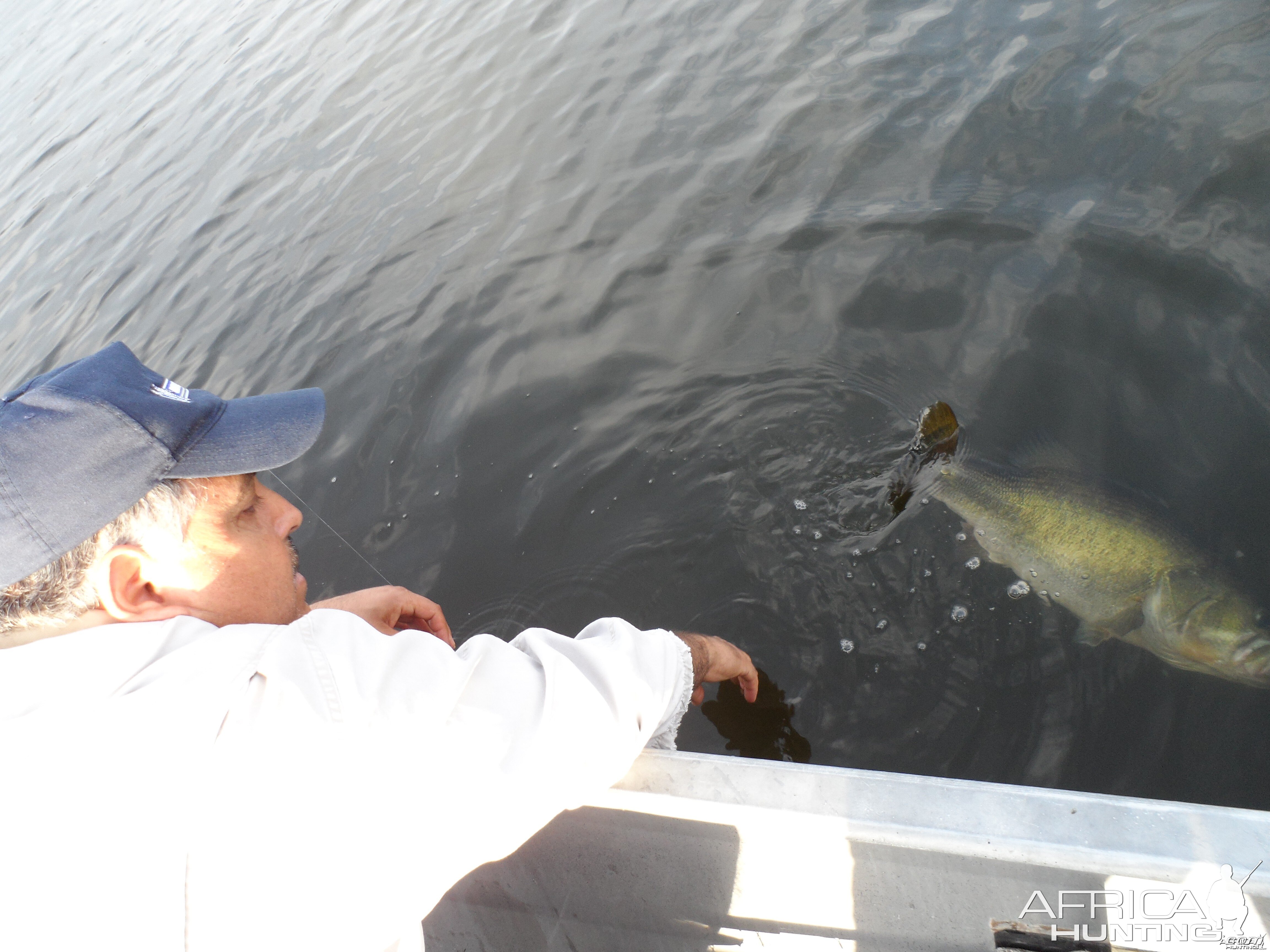 Bass of Sinaloa in Western Mexico