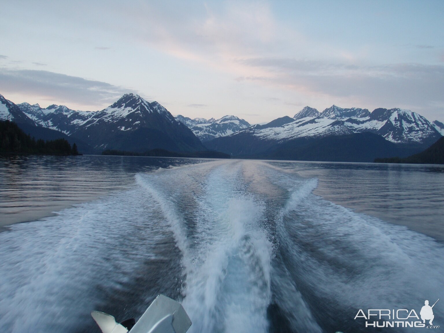 Bear Hunt Alaska