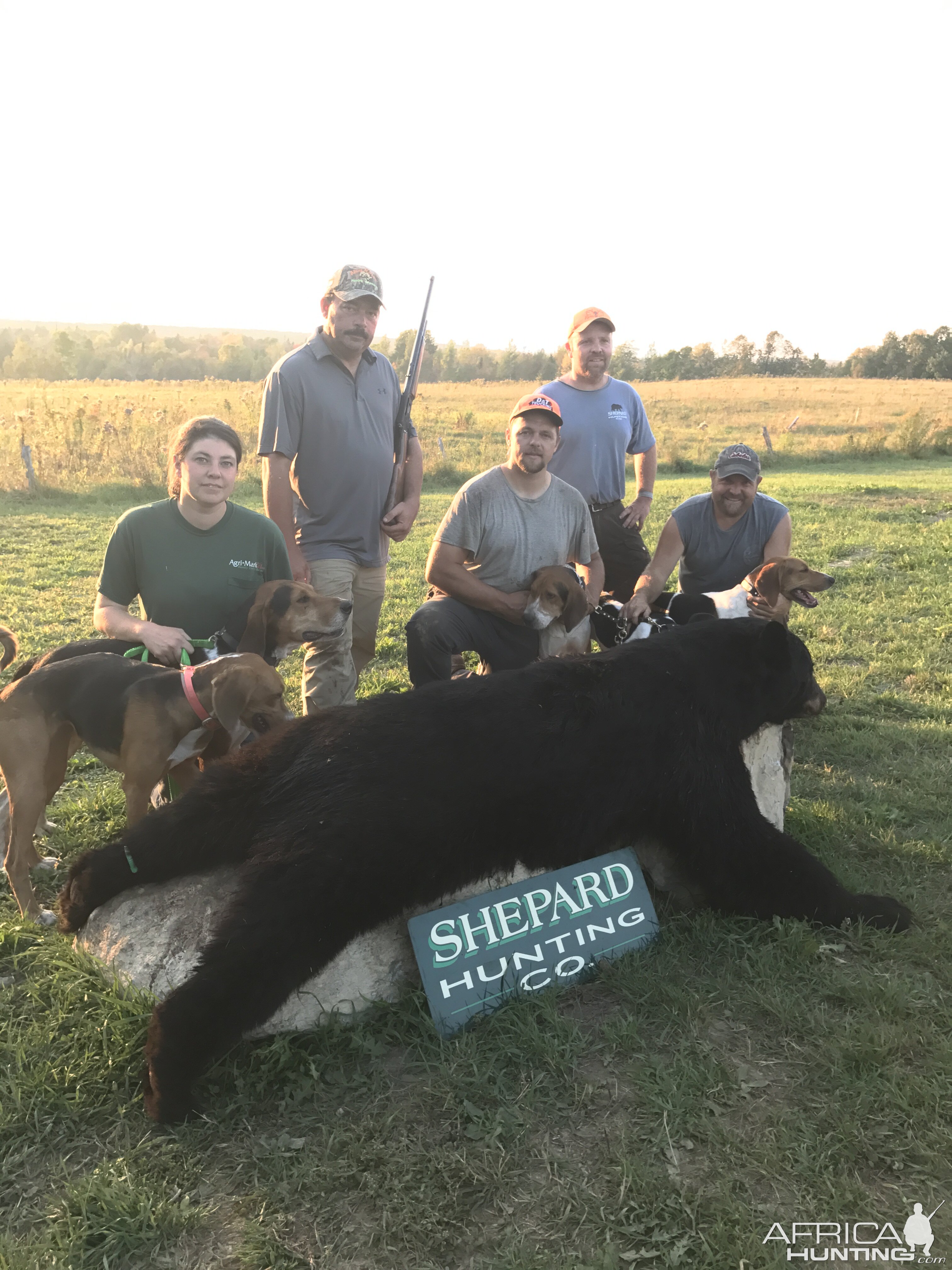 Bear Hunt in Maine