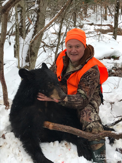 Bear Hunt Pennsylvania USA