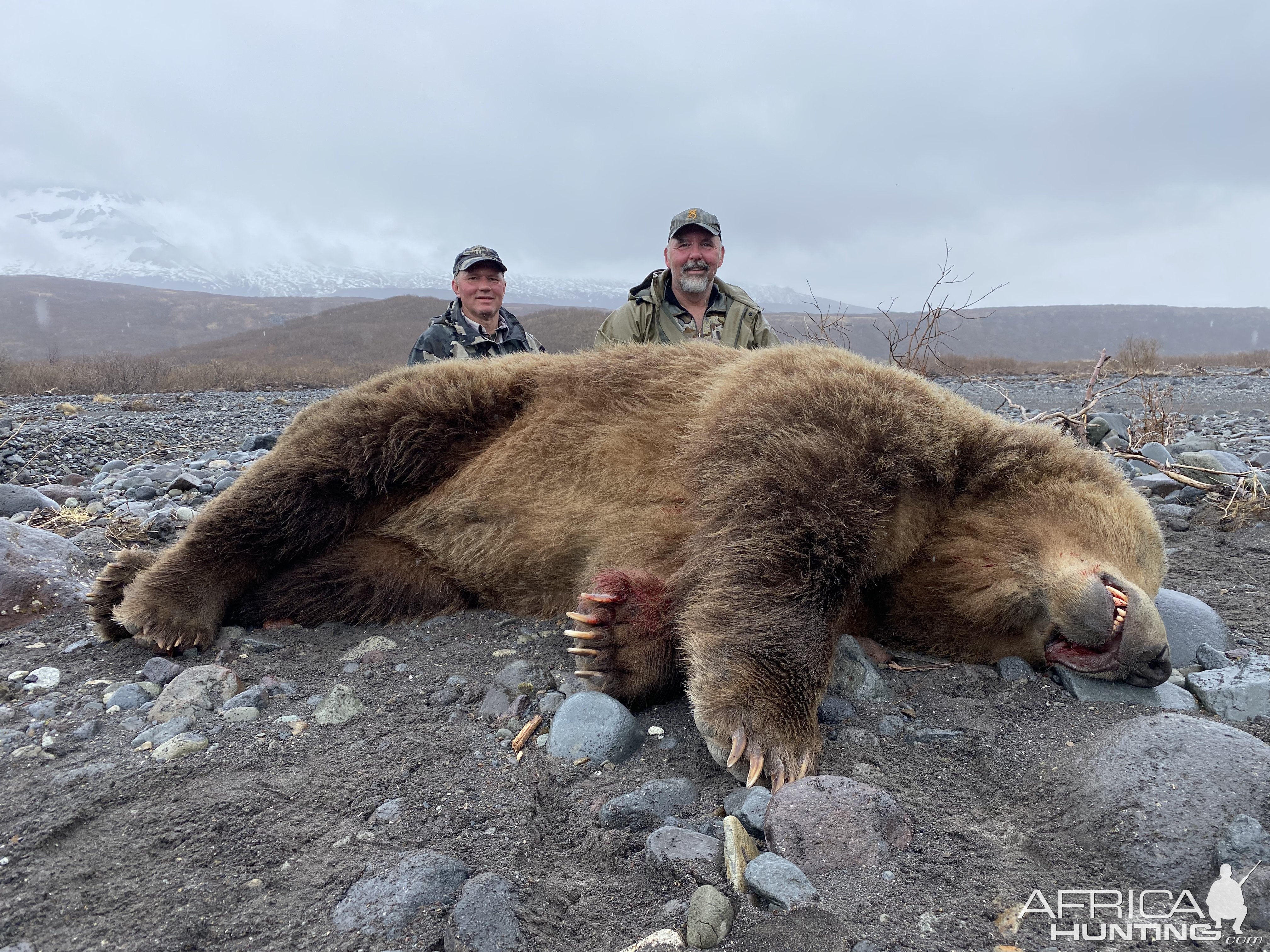 Bear Hunting Anchorage Alaskan Peninsula