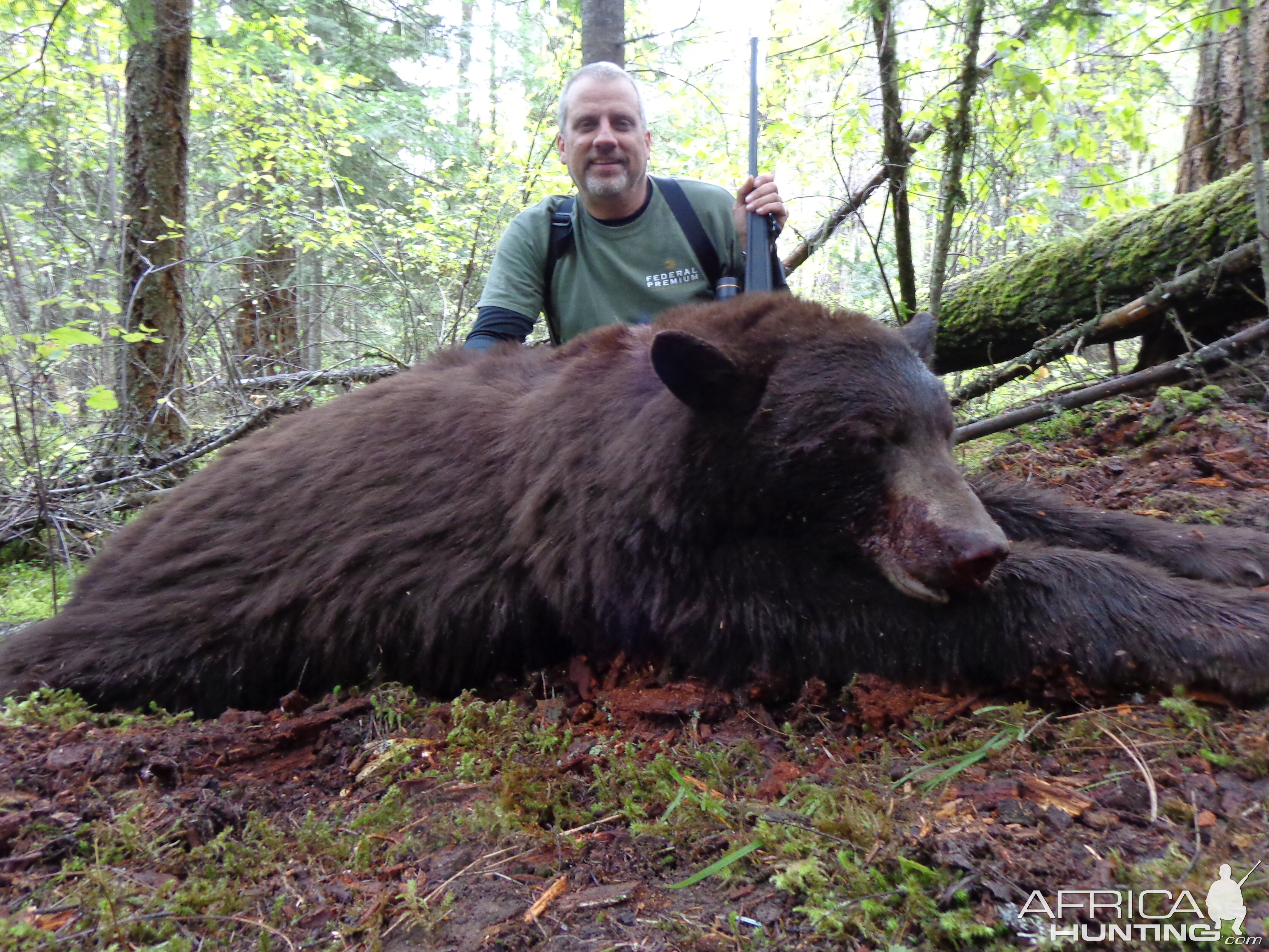 Bear Hunting Idaho