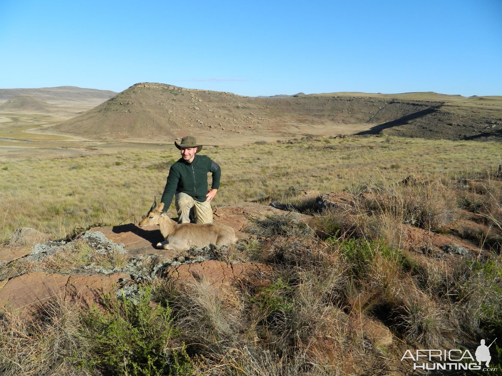 Beautiful Environment Mountain Reedbuck