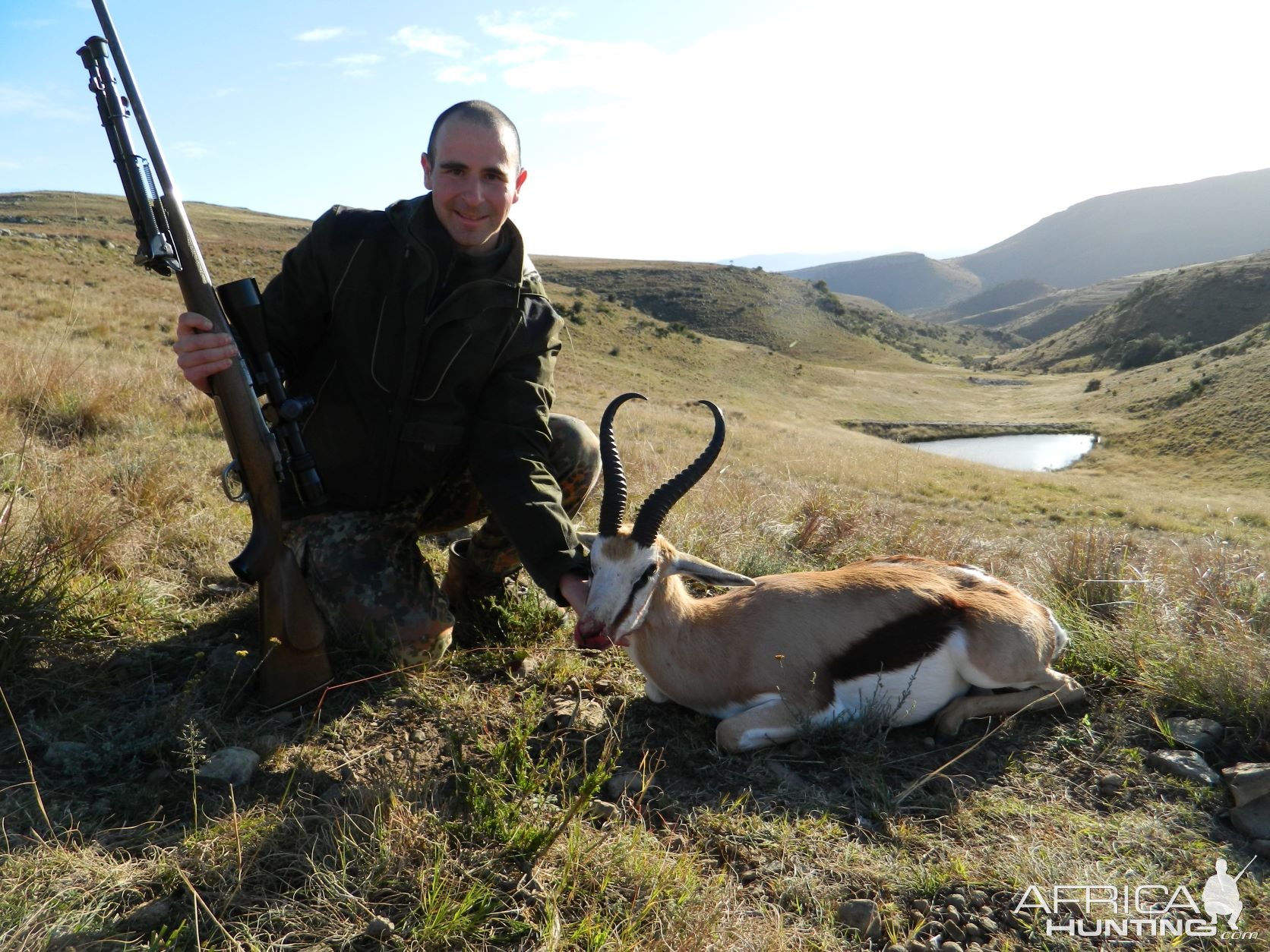 Beautiful South African Springbok