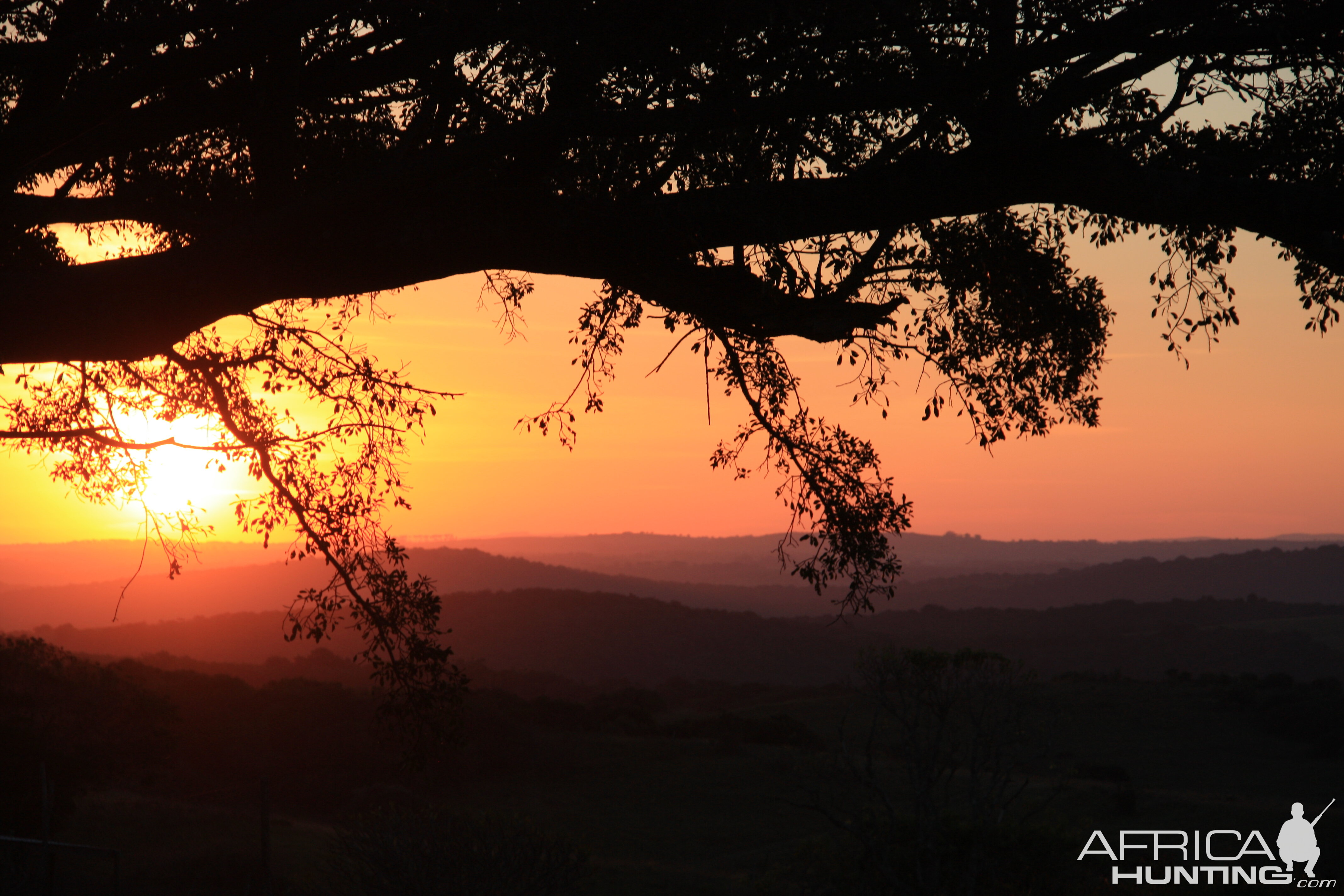 Beautiful Sunset in South Africa